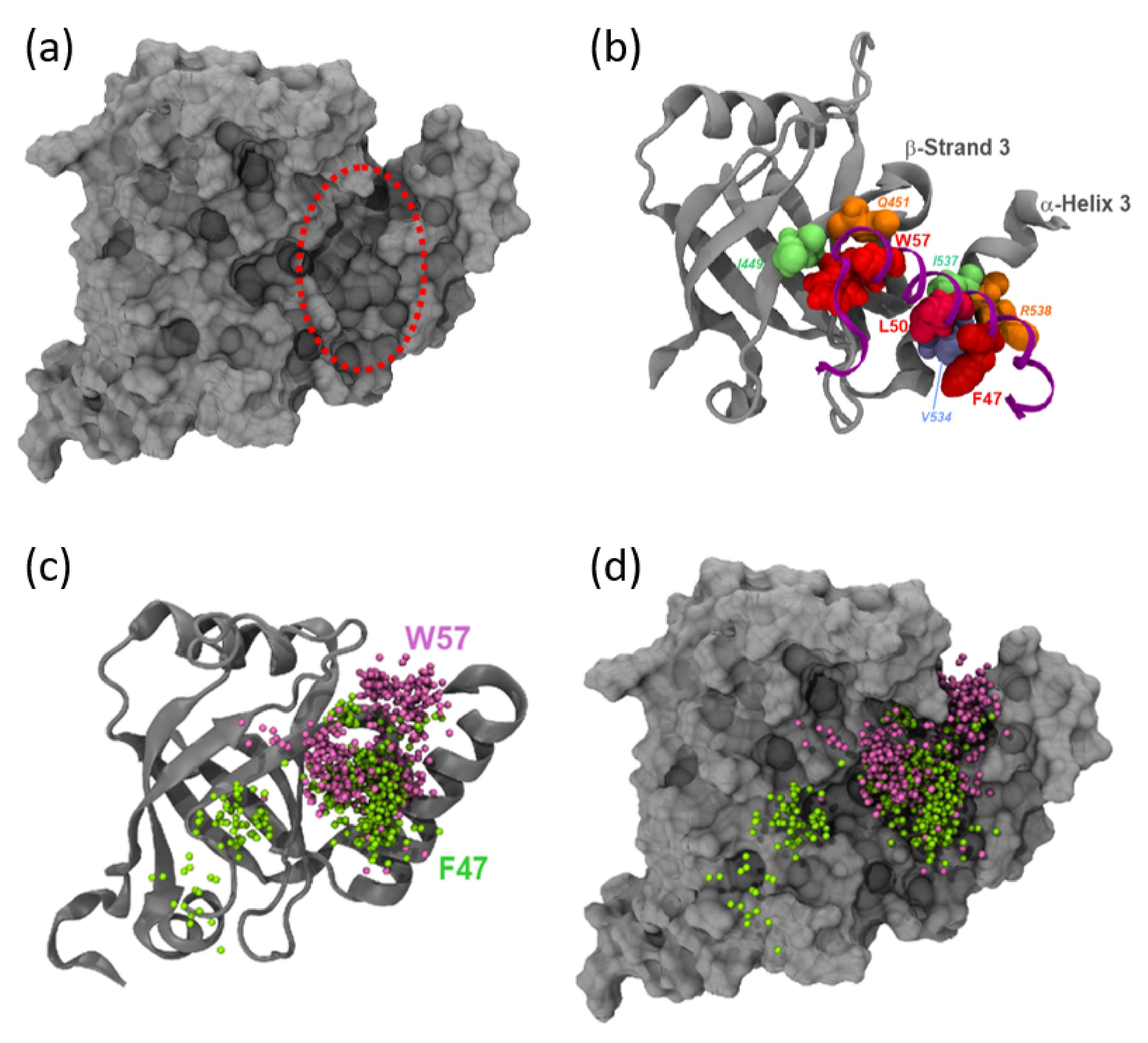 Biomolecules 10 01205 g006 Biomolecules 10 01205 g006