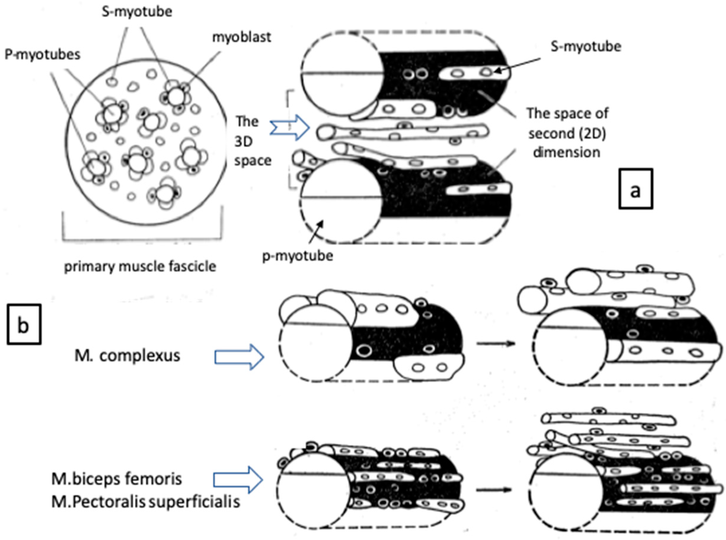 Biomolecules 10 01206 g002 Biomolecules 10 01206 g002