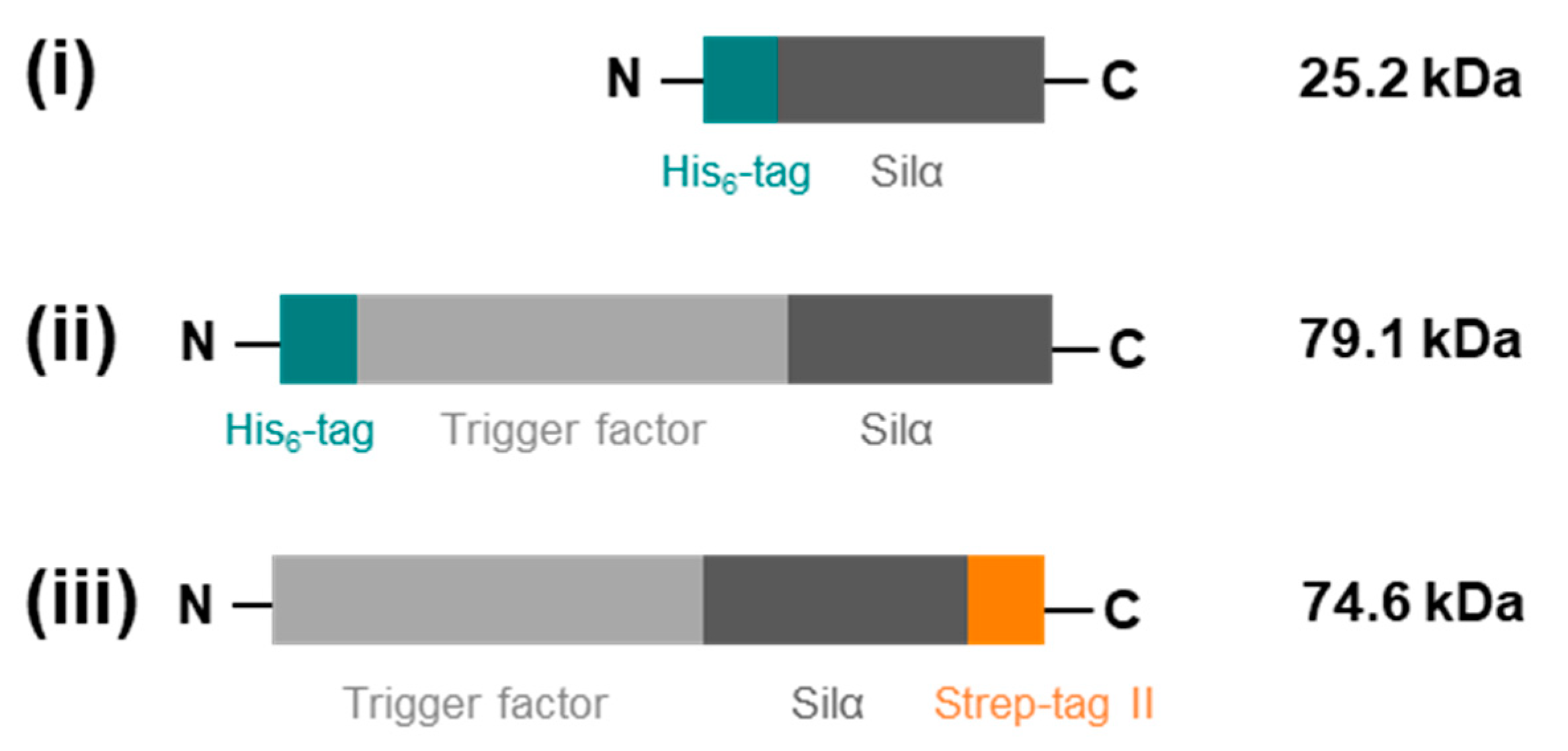 Biomolecules 10 01209 g001