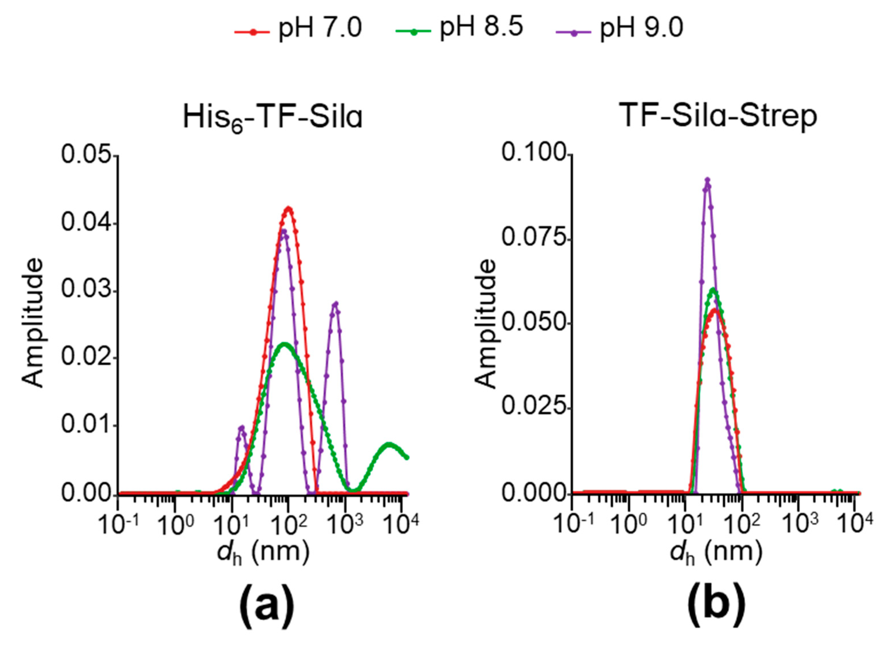 Biomolecules 10 01209 g004