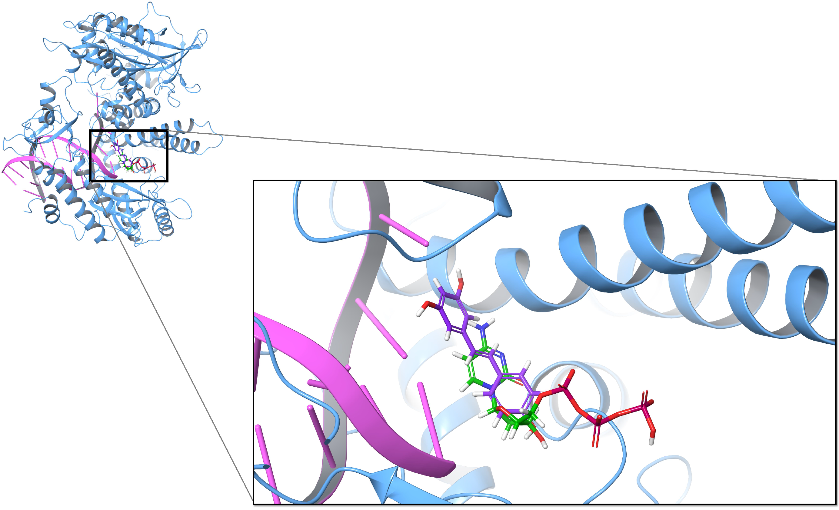 Biomolecules 10 01223 g001