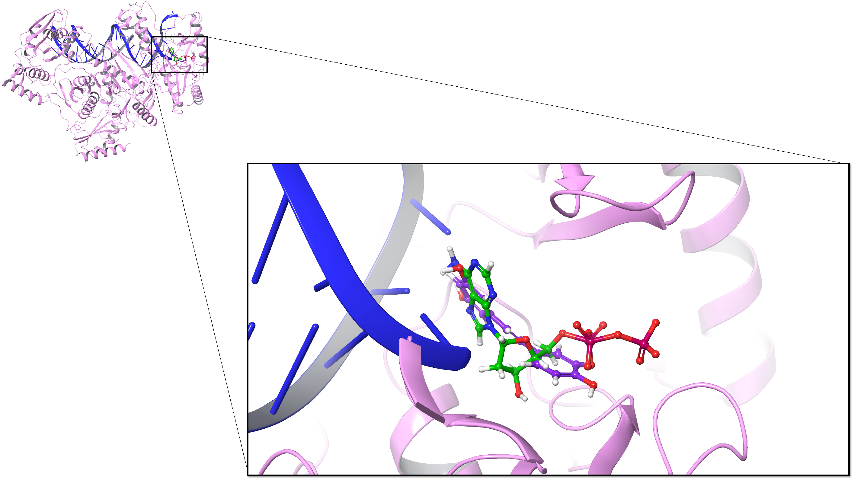 Biomolecules 10 01223 g005