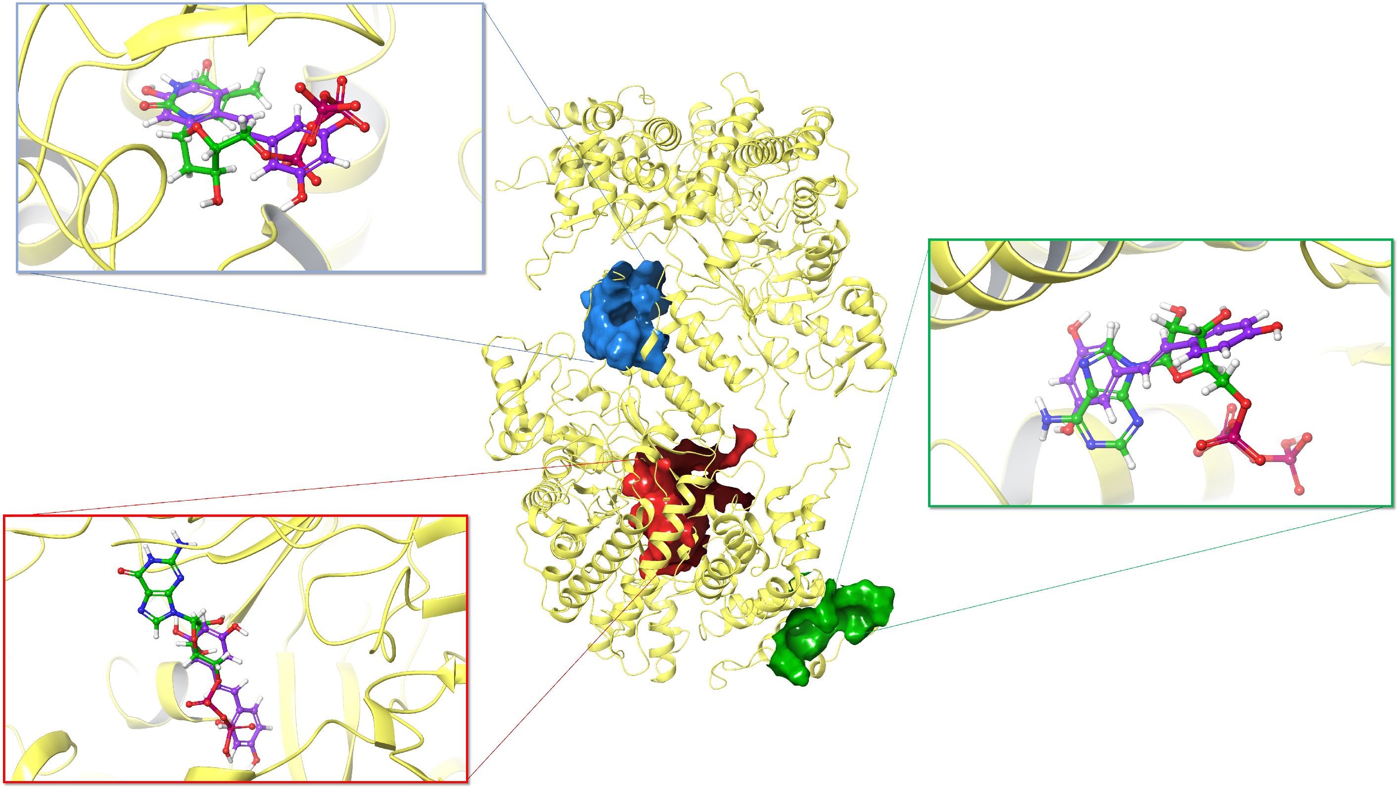Biomolecules 10 01223 g006