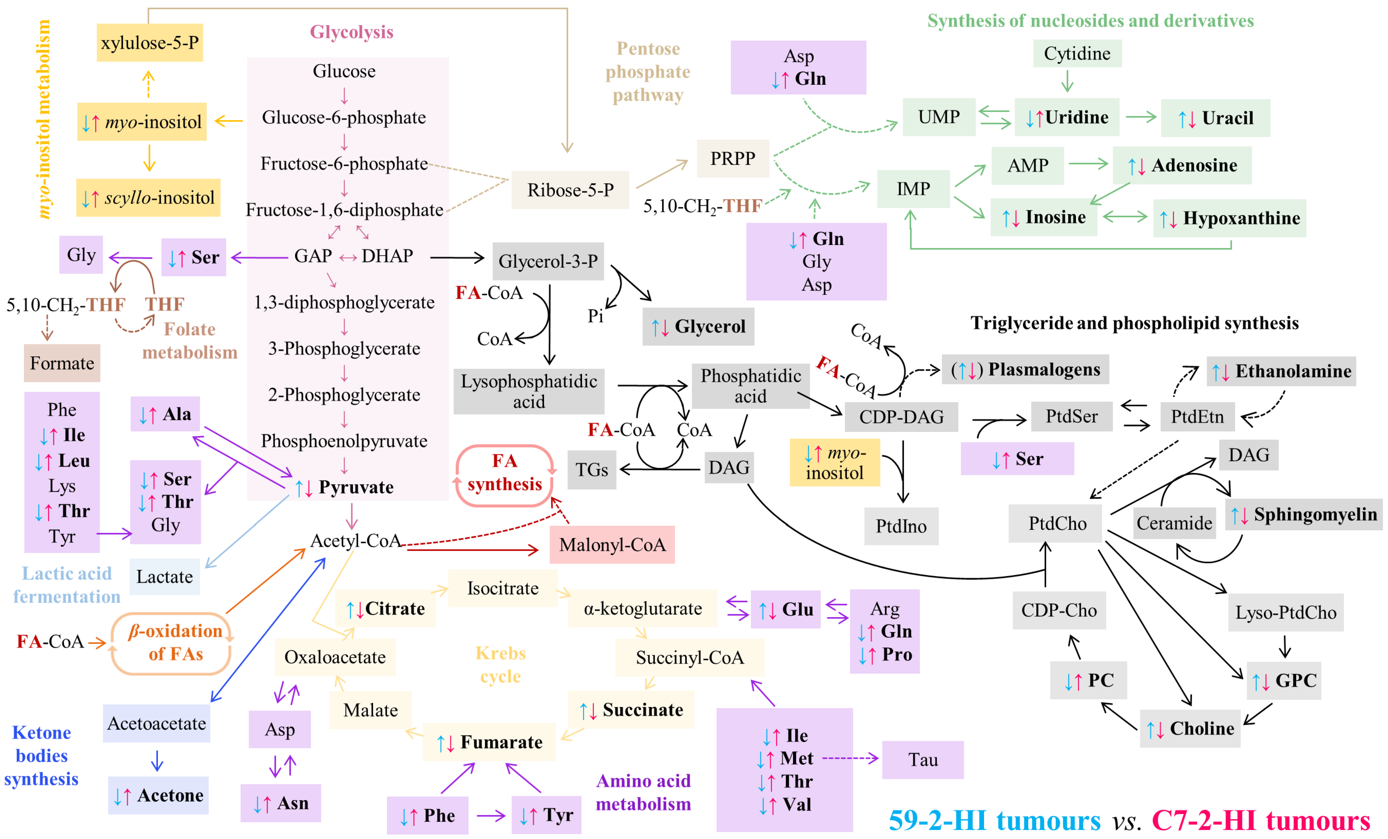 Biomolecules 10 01242 g005