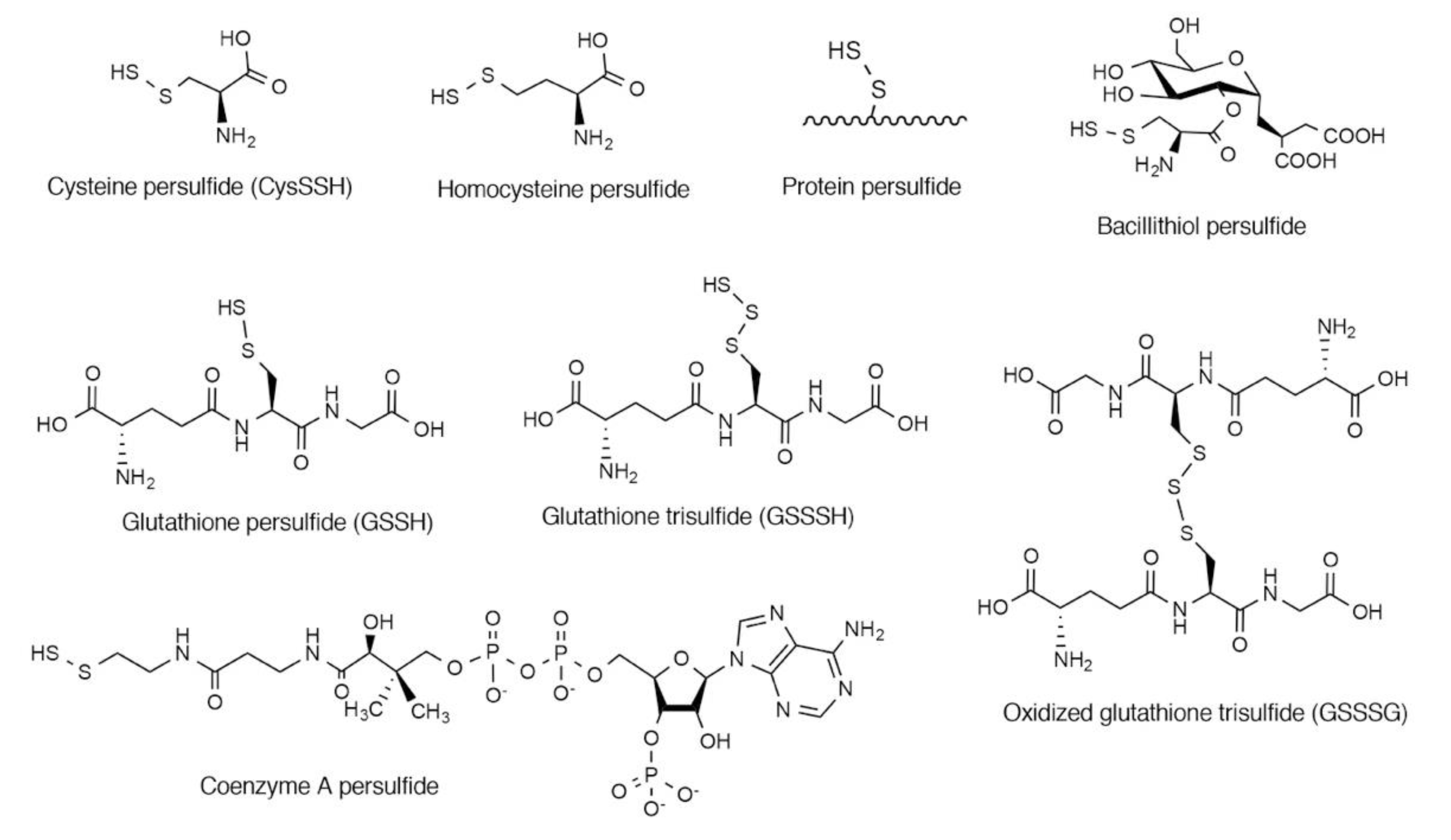 Biomolecules 10 01245 g001