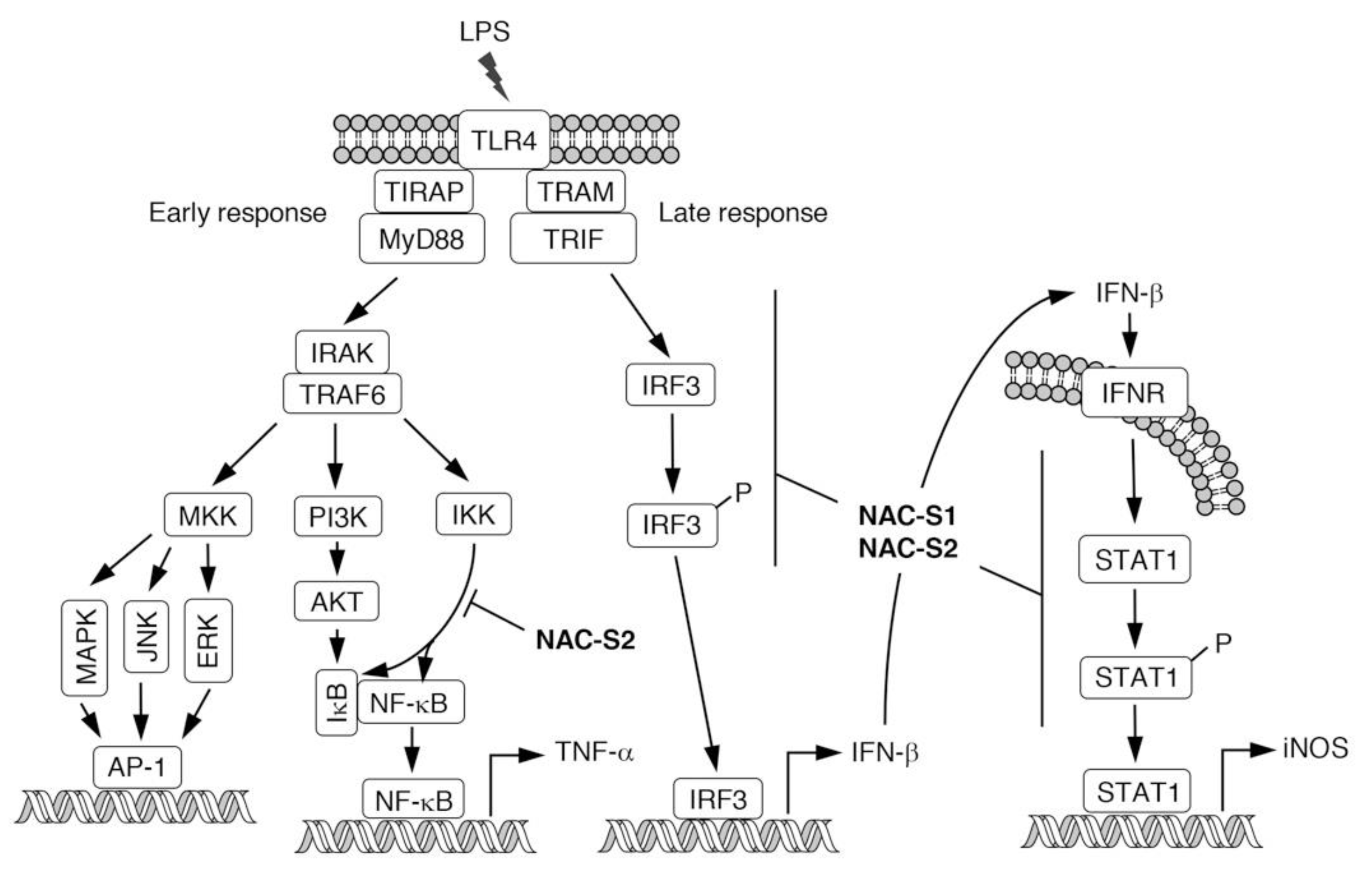 Biomolecules 10 01245 g006