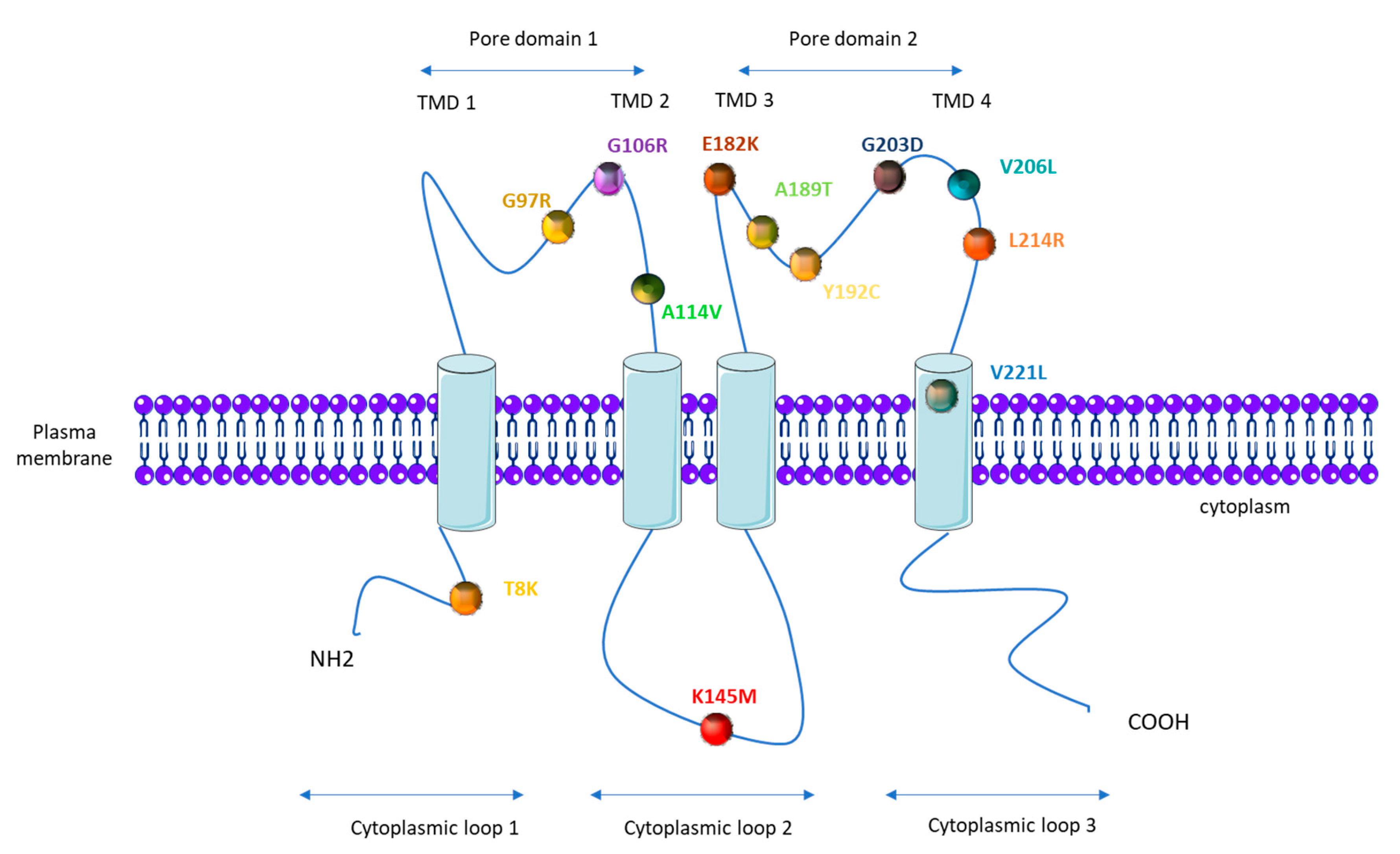 Biomolecules 10 01261 g003