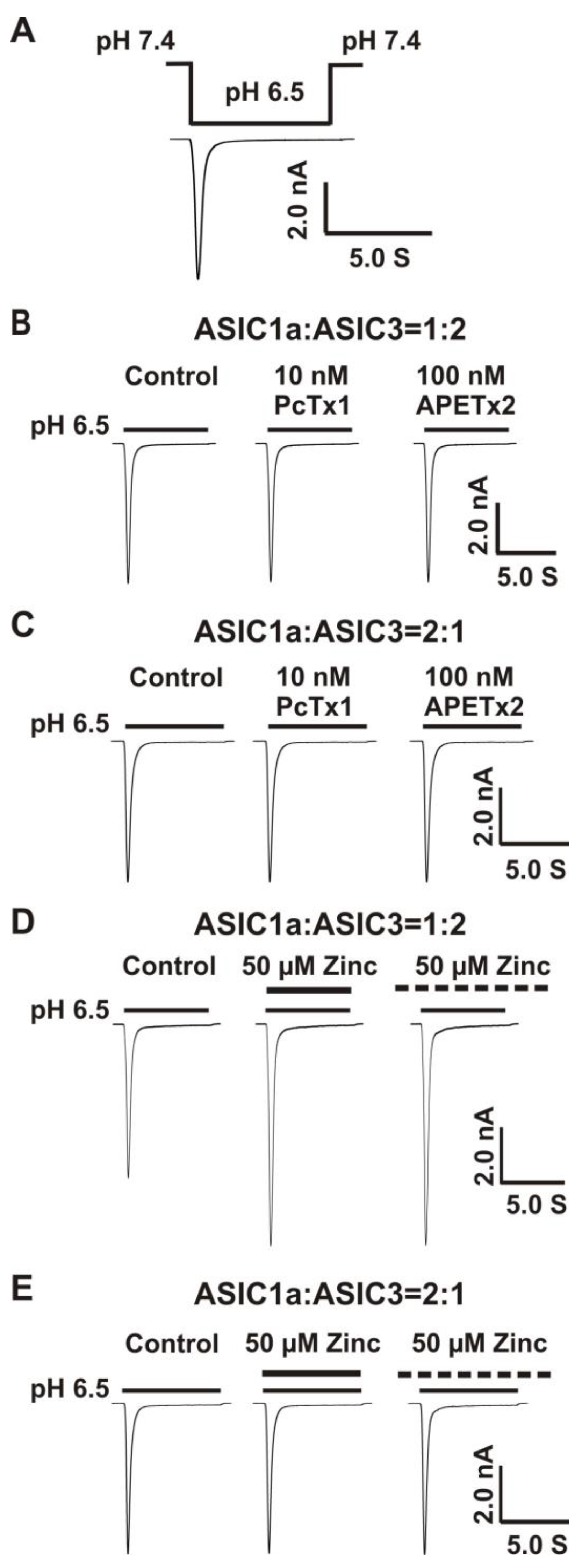 Biomolecules 10 01264 g002 Biomolecules 10 01264 g002
