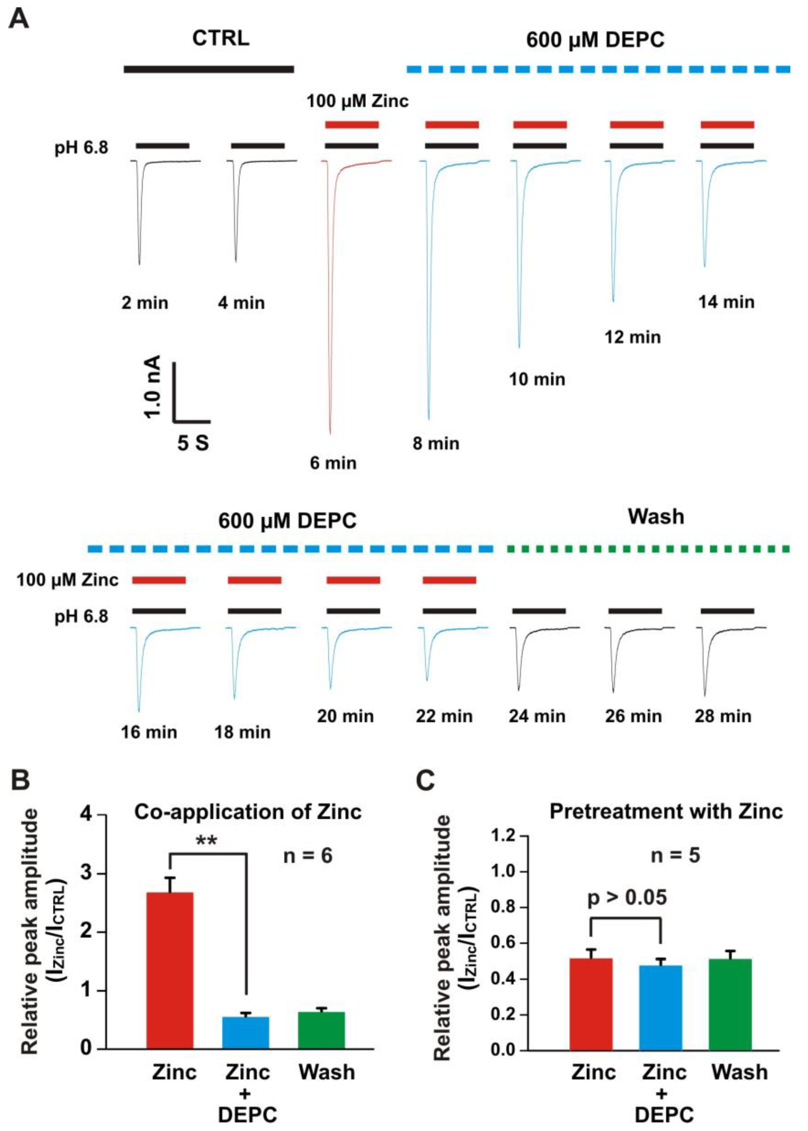 Biomolecules 10 01264 g006 Biomolecules 10 01264 g006