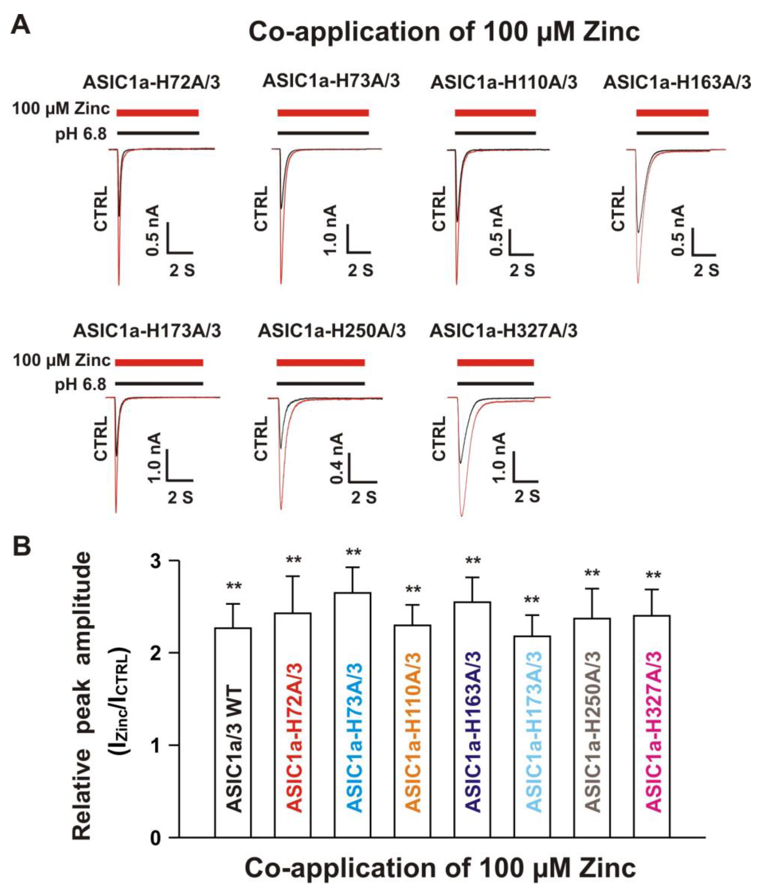 Biomolecules 10 01264 g009 Biomolecules 10 01264 g009