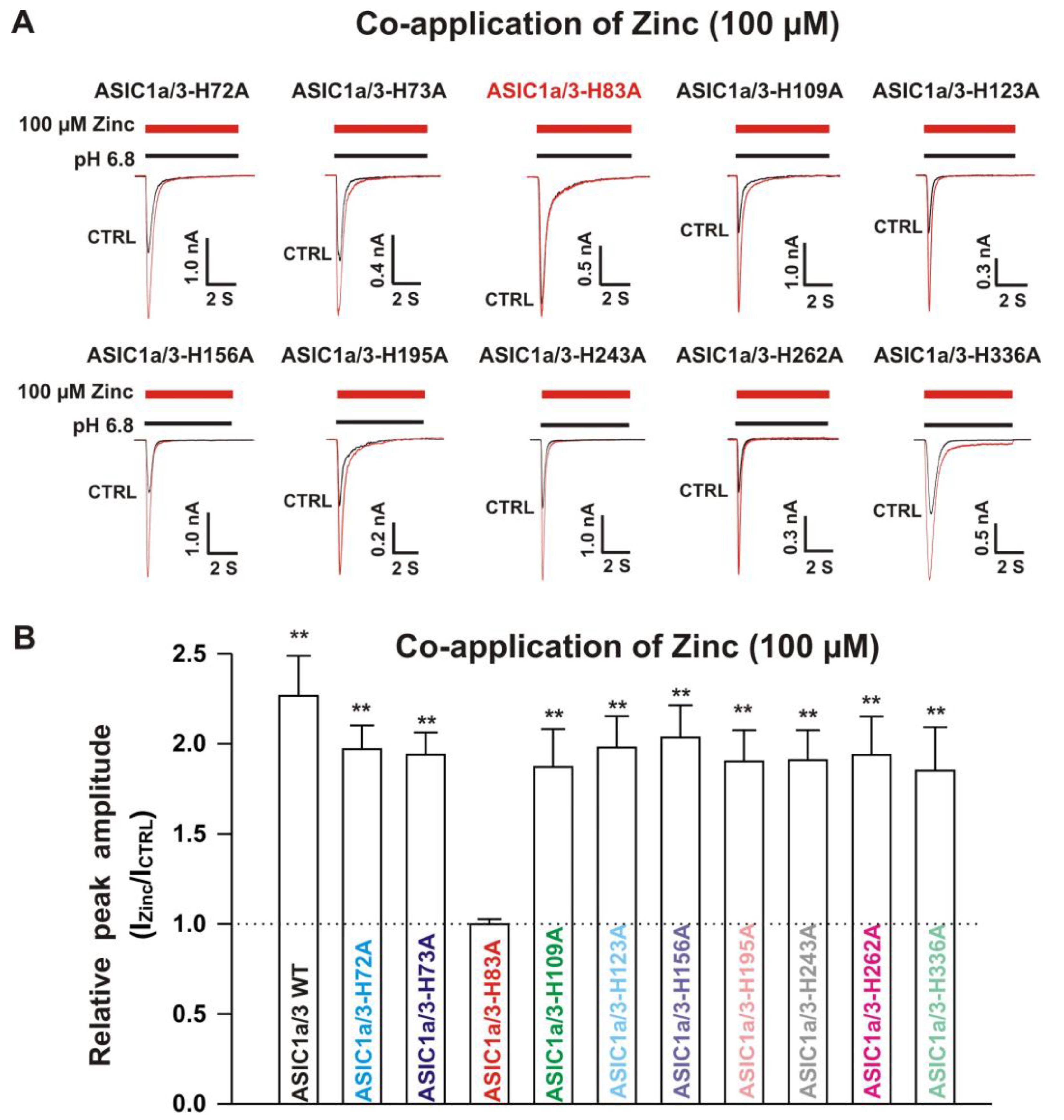 Biomolecules 10 01264 g012 Biomolecules 10 01264 g012
