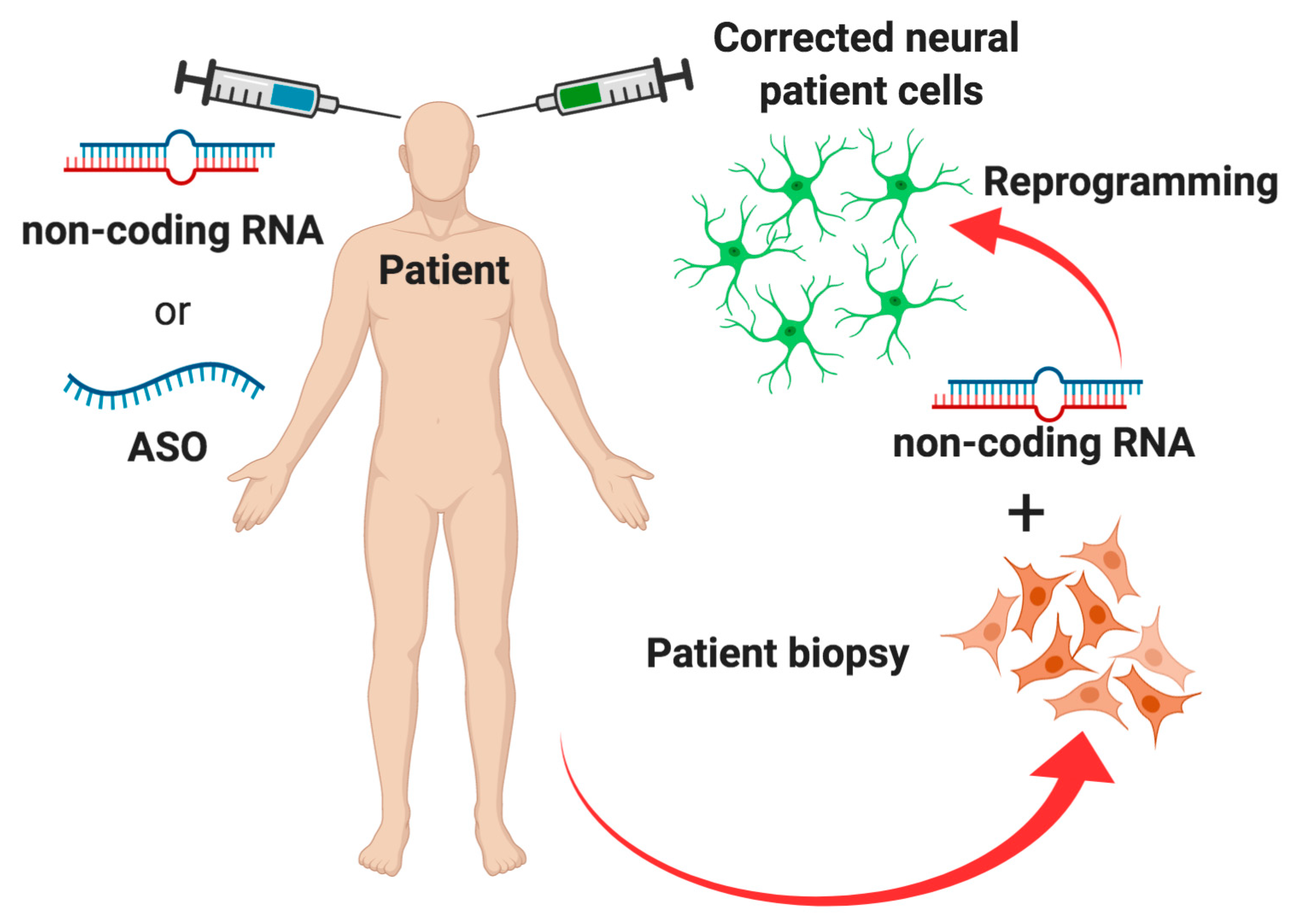 Biomolecules 10 01269 g003 Biomolecules 10 01269 g003
