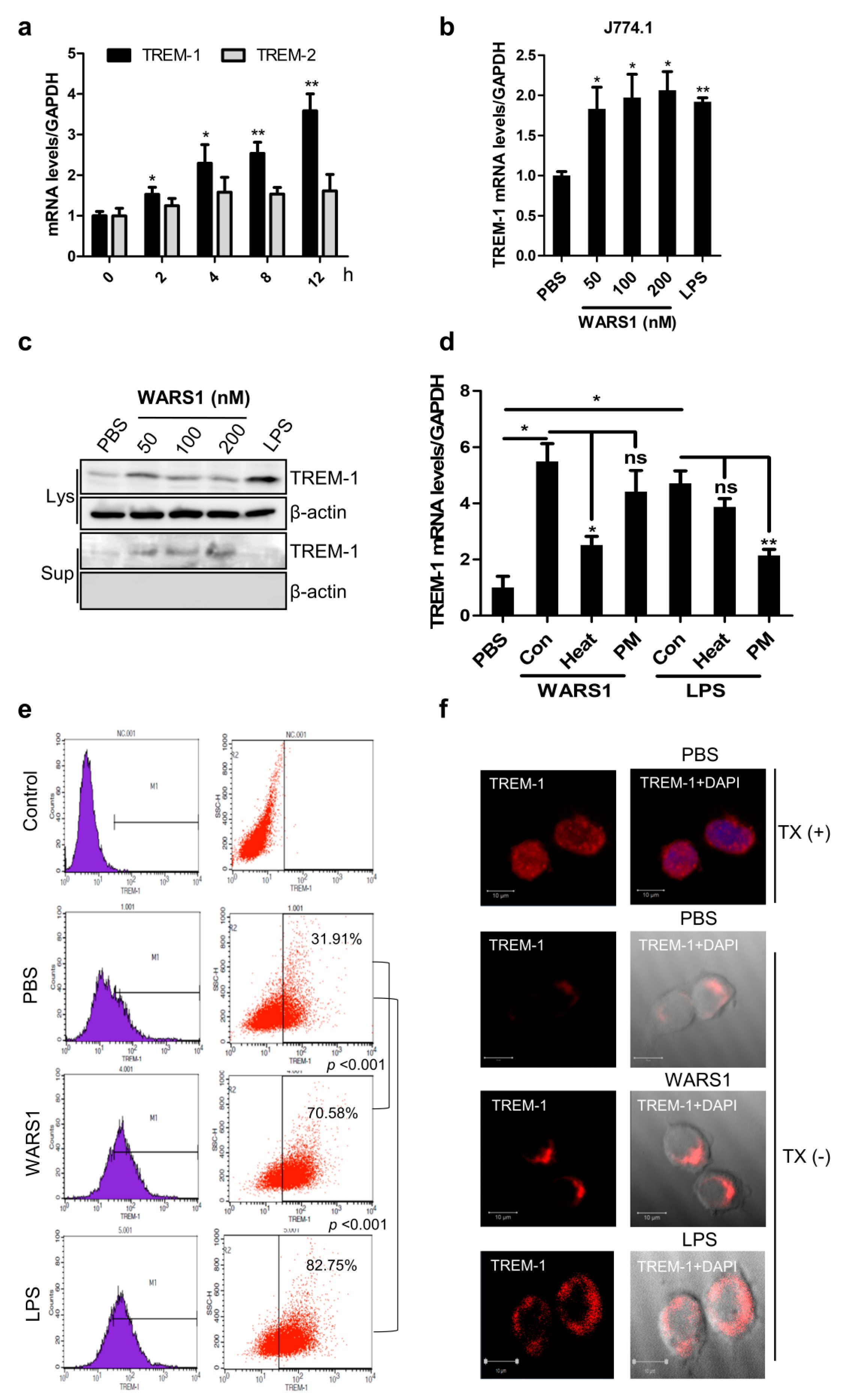 Biomolecules 10 01283 g002
