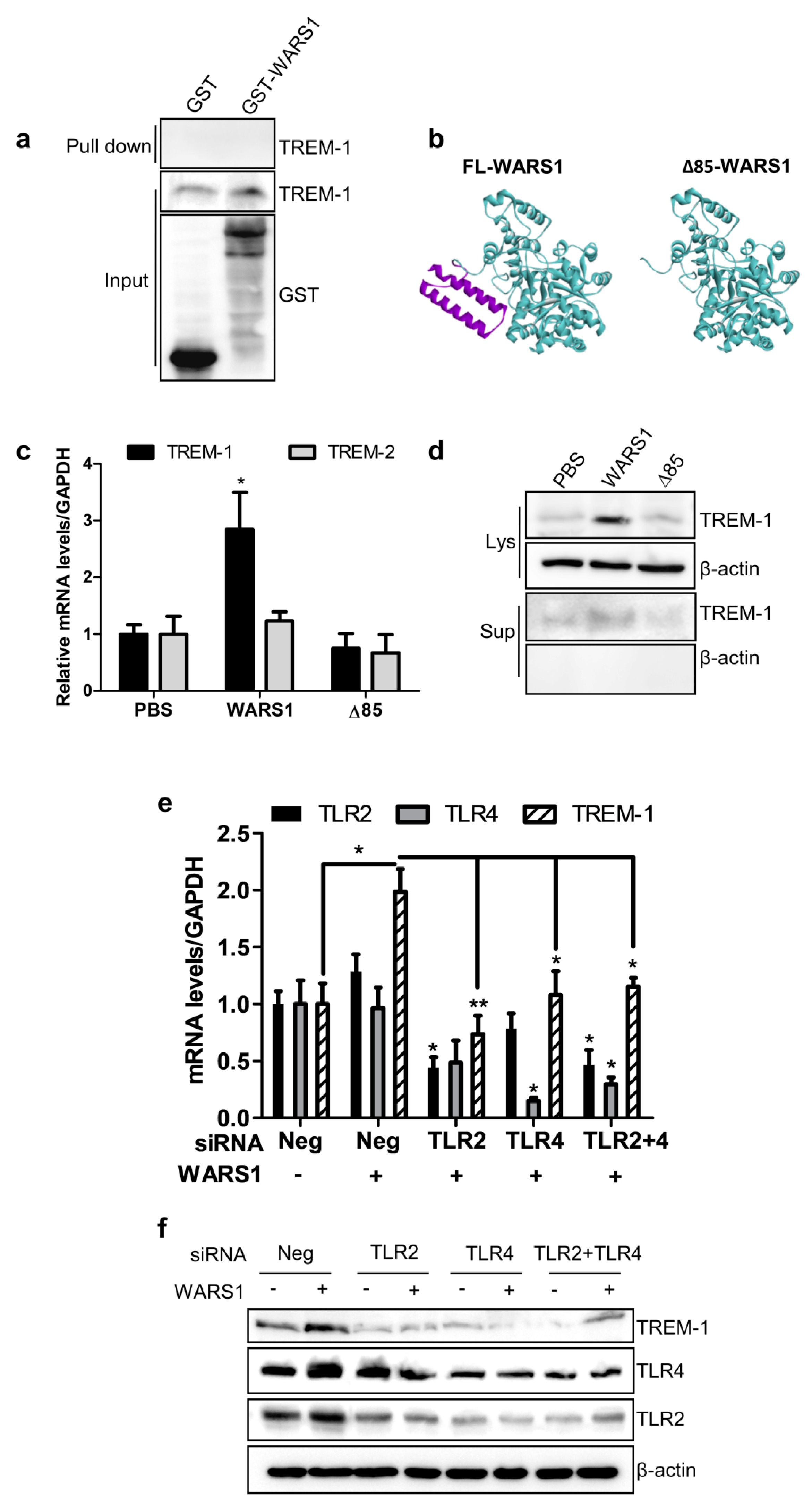 Biomolecules 10 01283 g003