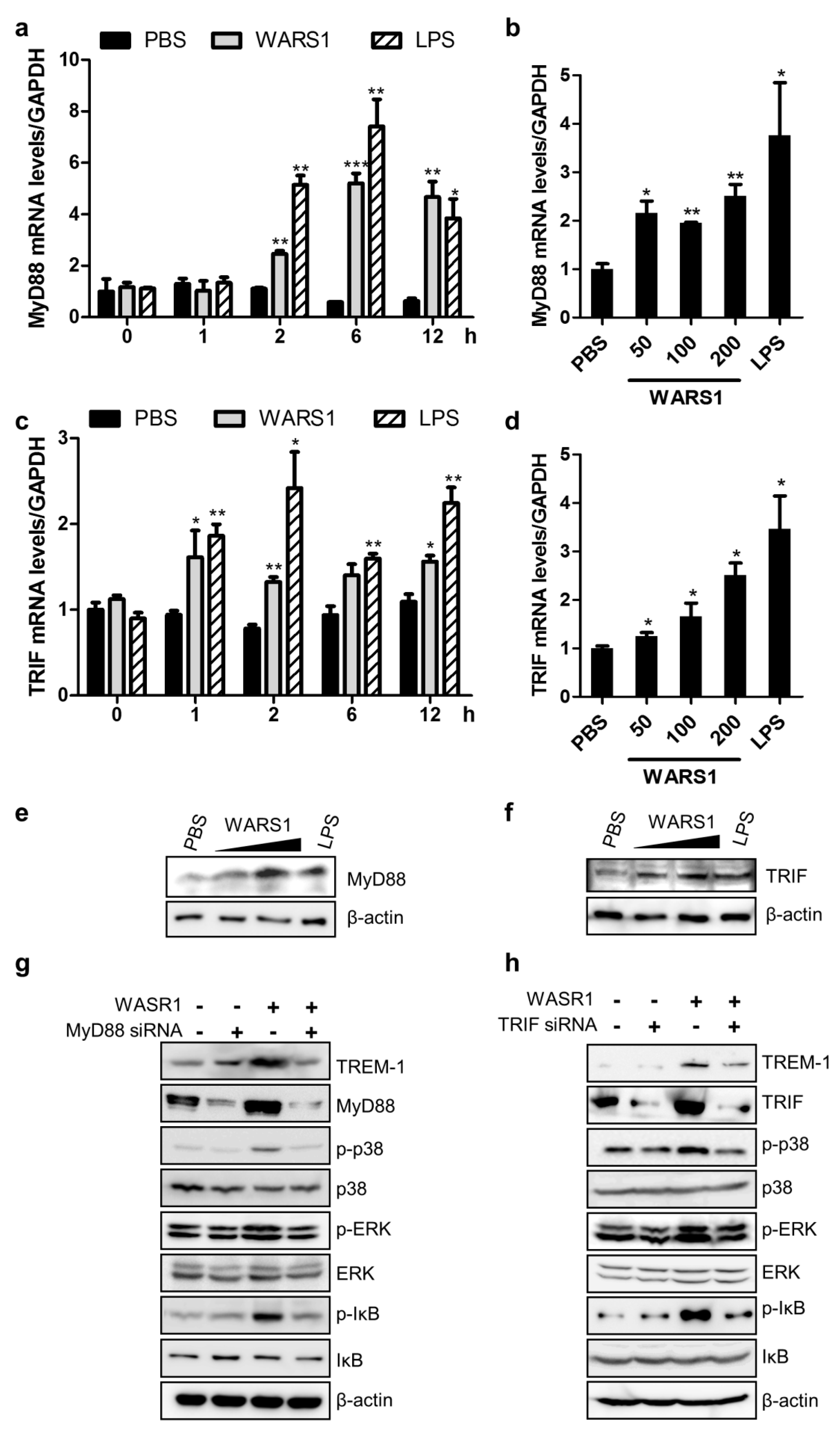 Biomolecules 10 01283 g004