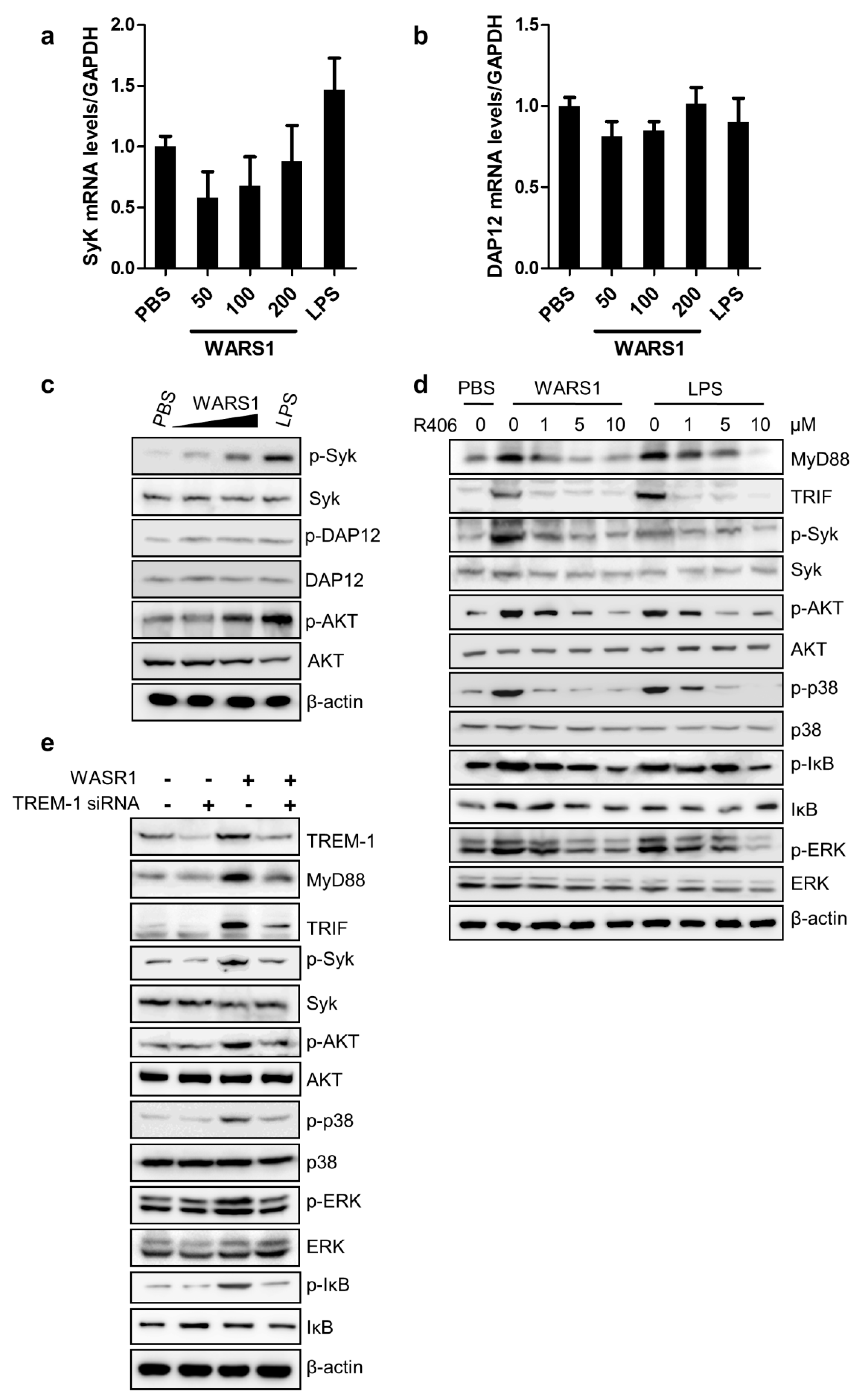 Biomolecules 10 01283 g005