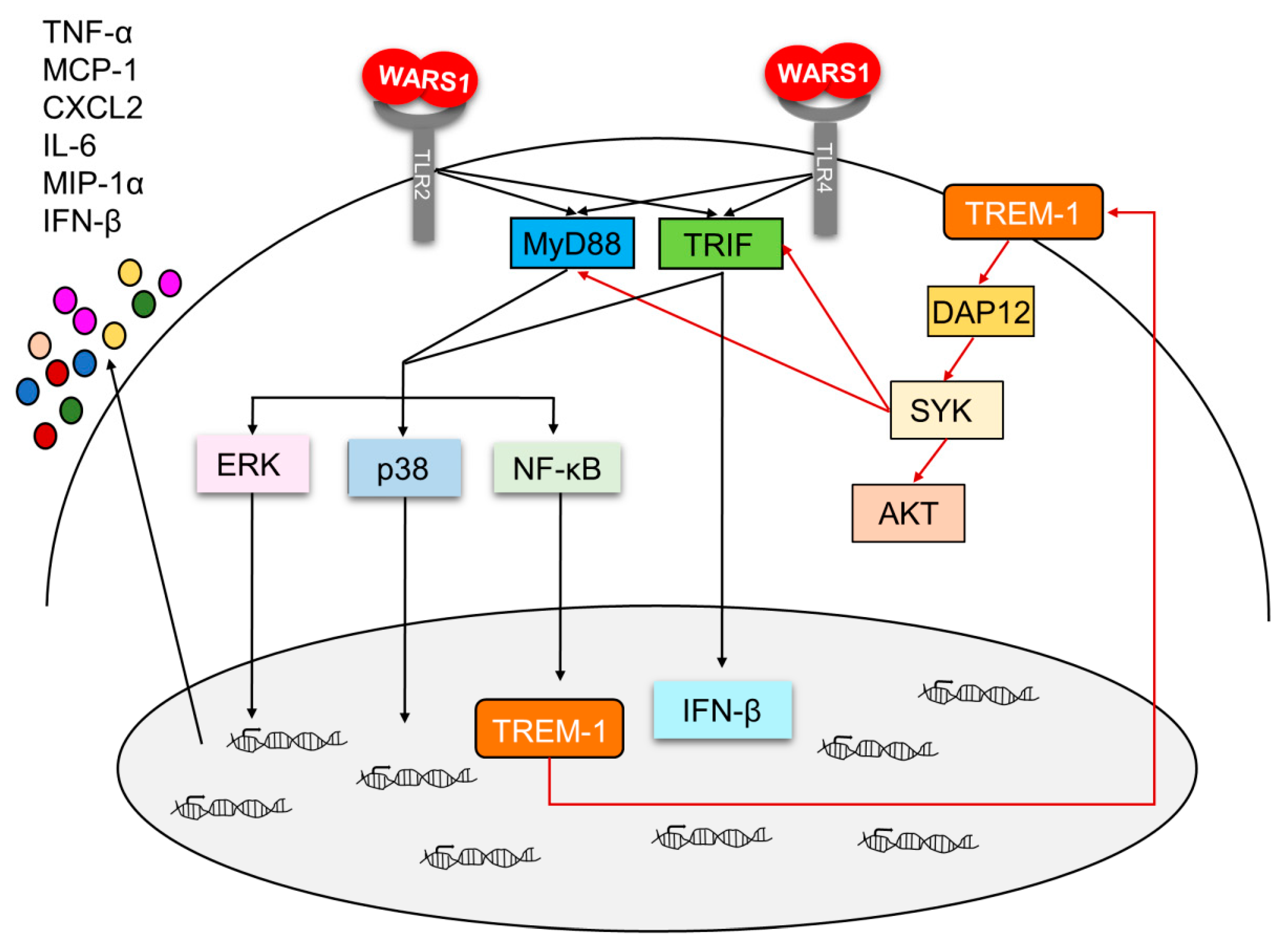 Biomolecules 10 01283 g007
