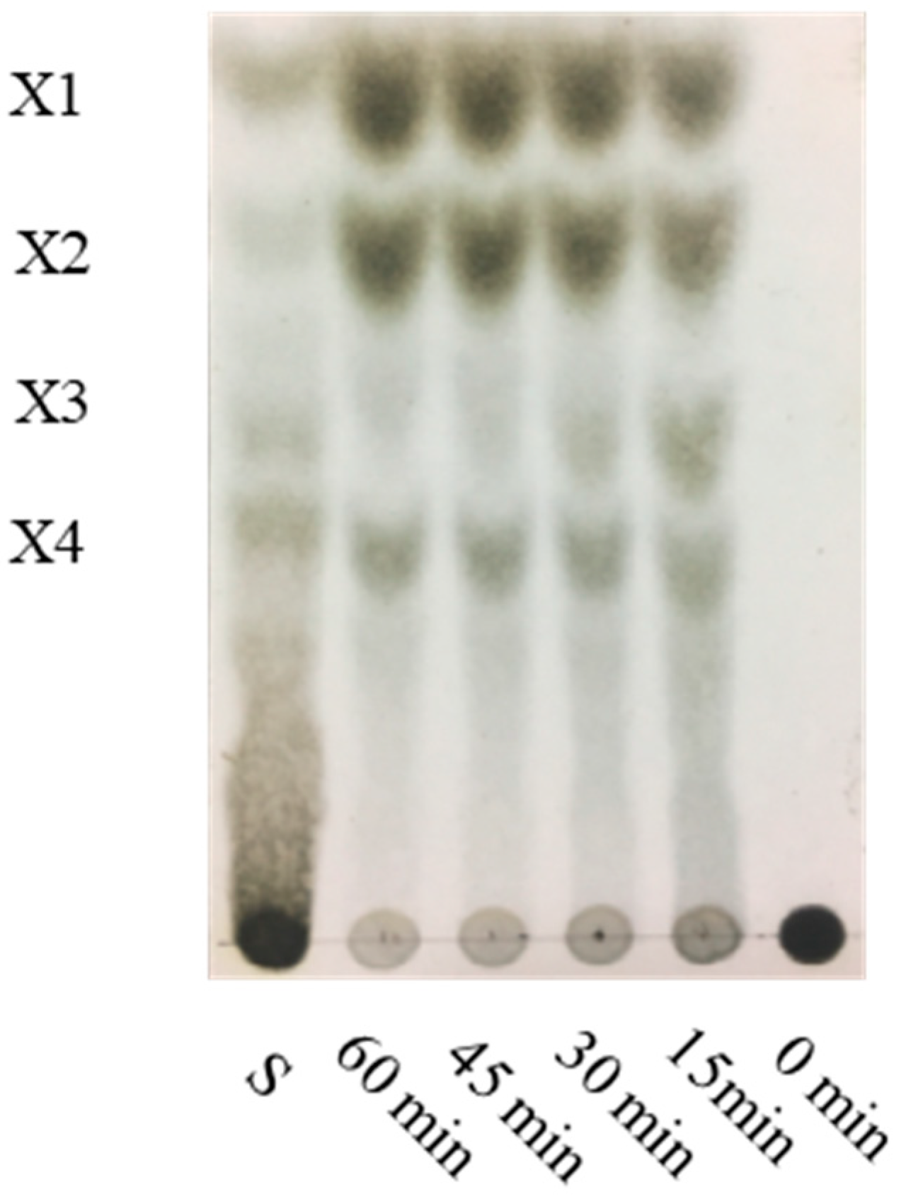 Biomolecules 10 01287 g008 Biomolecules 10 01287 g008
