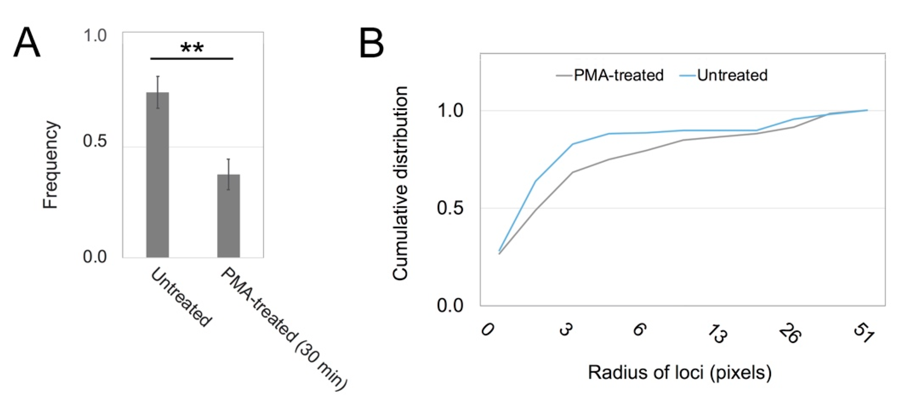 Biomolecules 10 01288 g005 Biomolecules 10 01288 g005