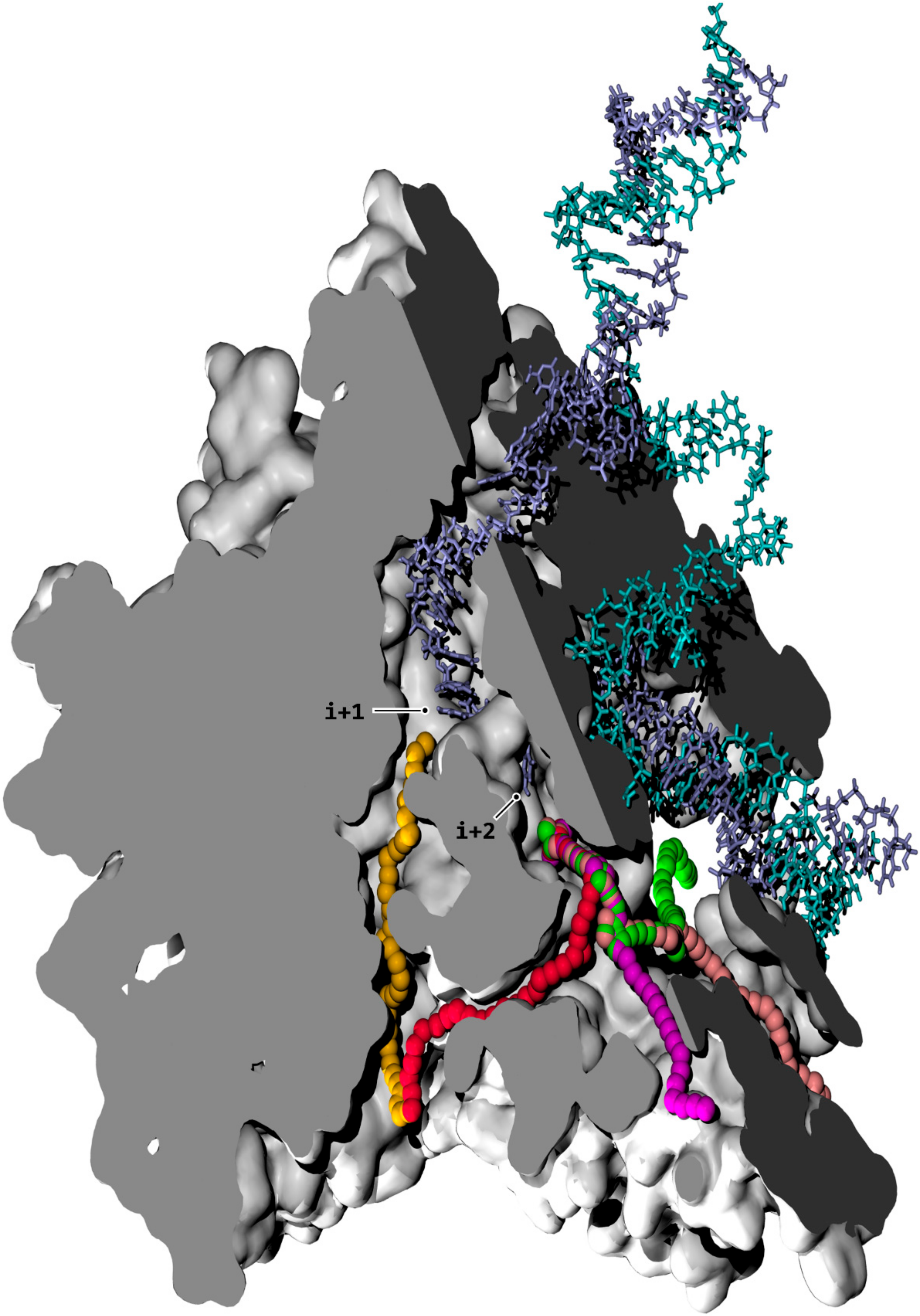 Biomolecules 10 01289 g001 Biomolecules 10 01289 g001