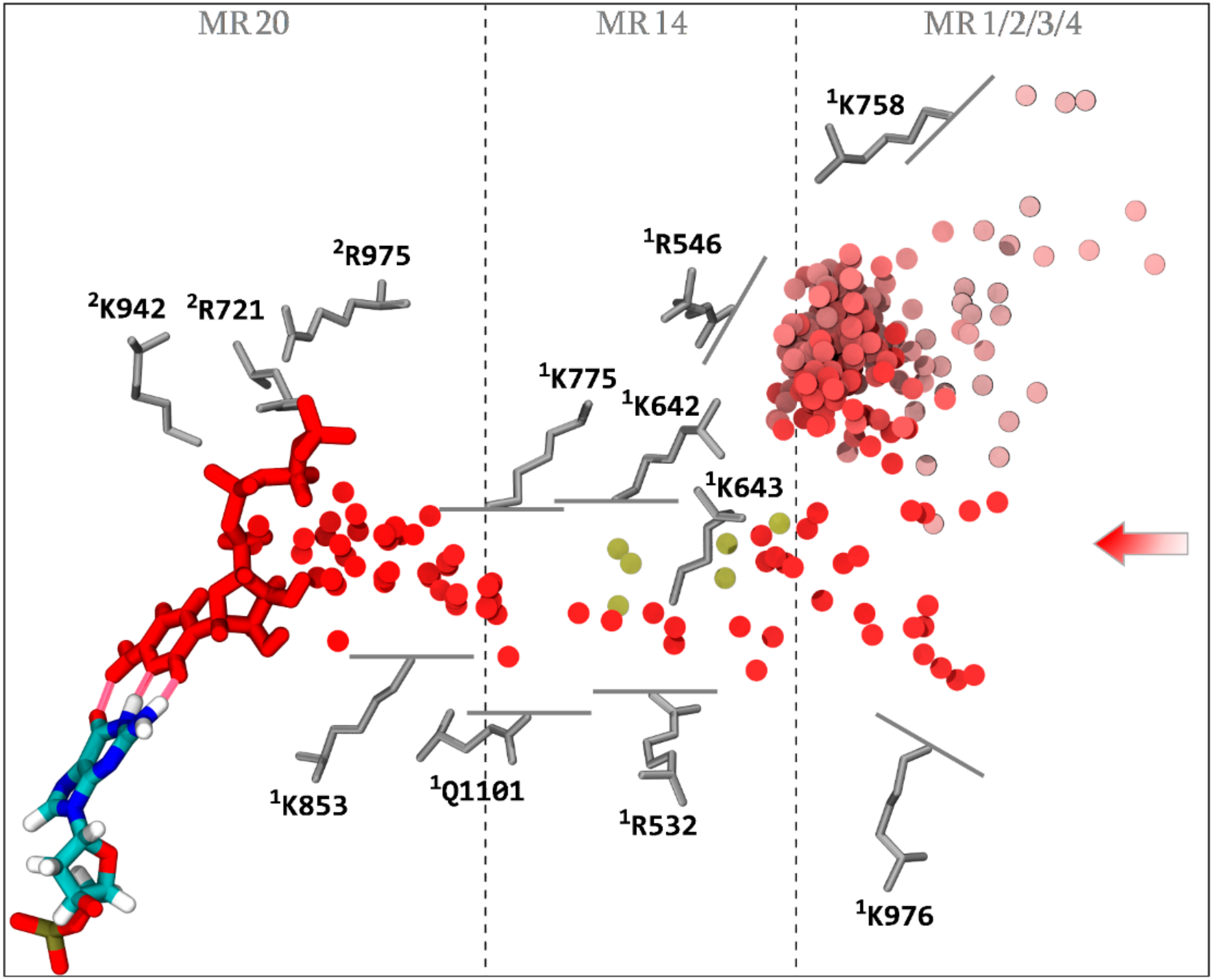 Biomolecules 10 01289 g005 Biomolecules 10 01289 g005
