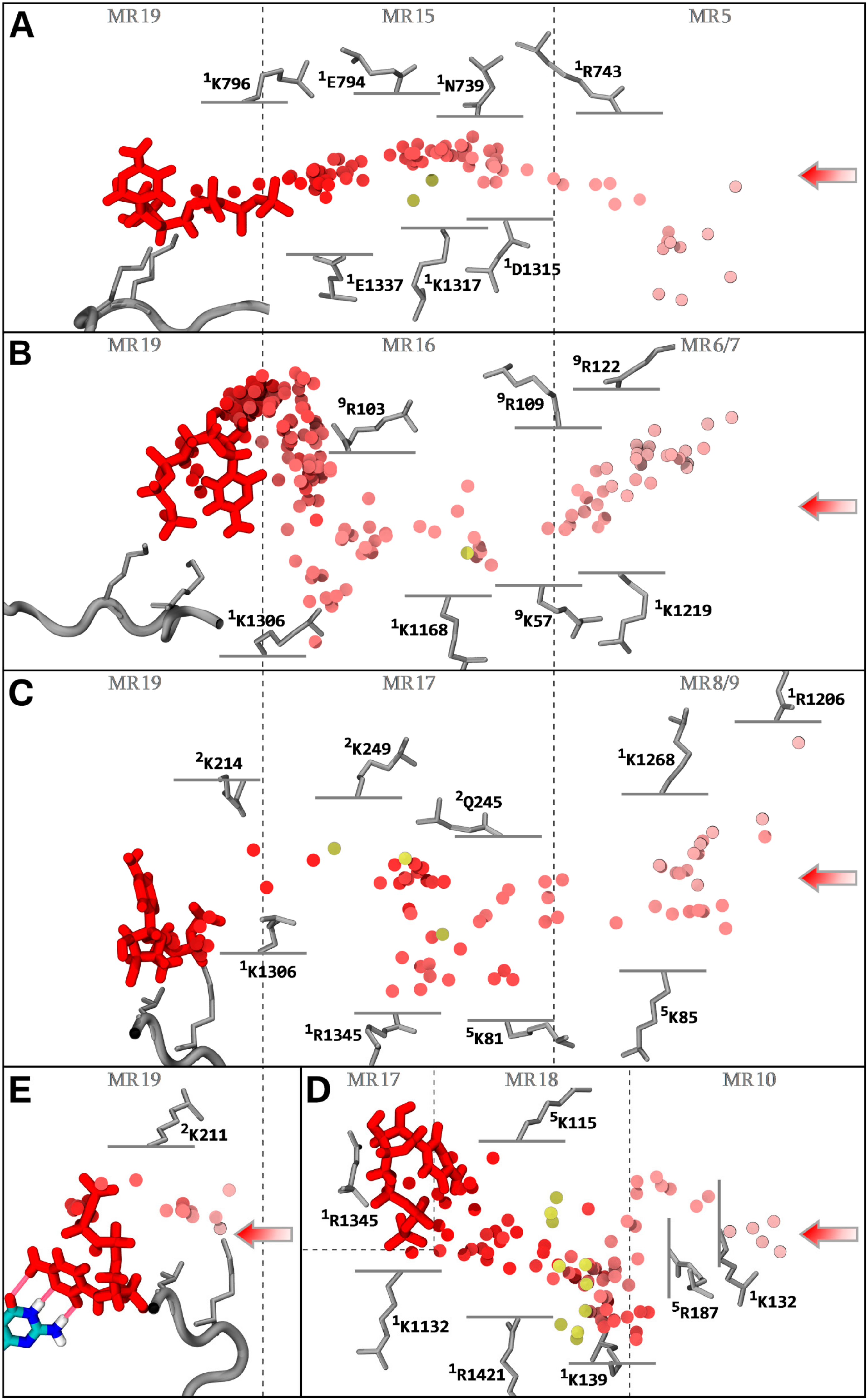 Biomolecules 10 01289 g006 Biomolecules 10 01289 g006