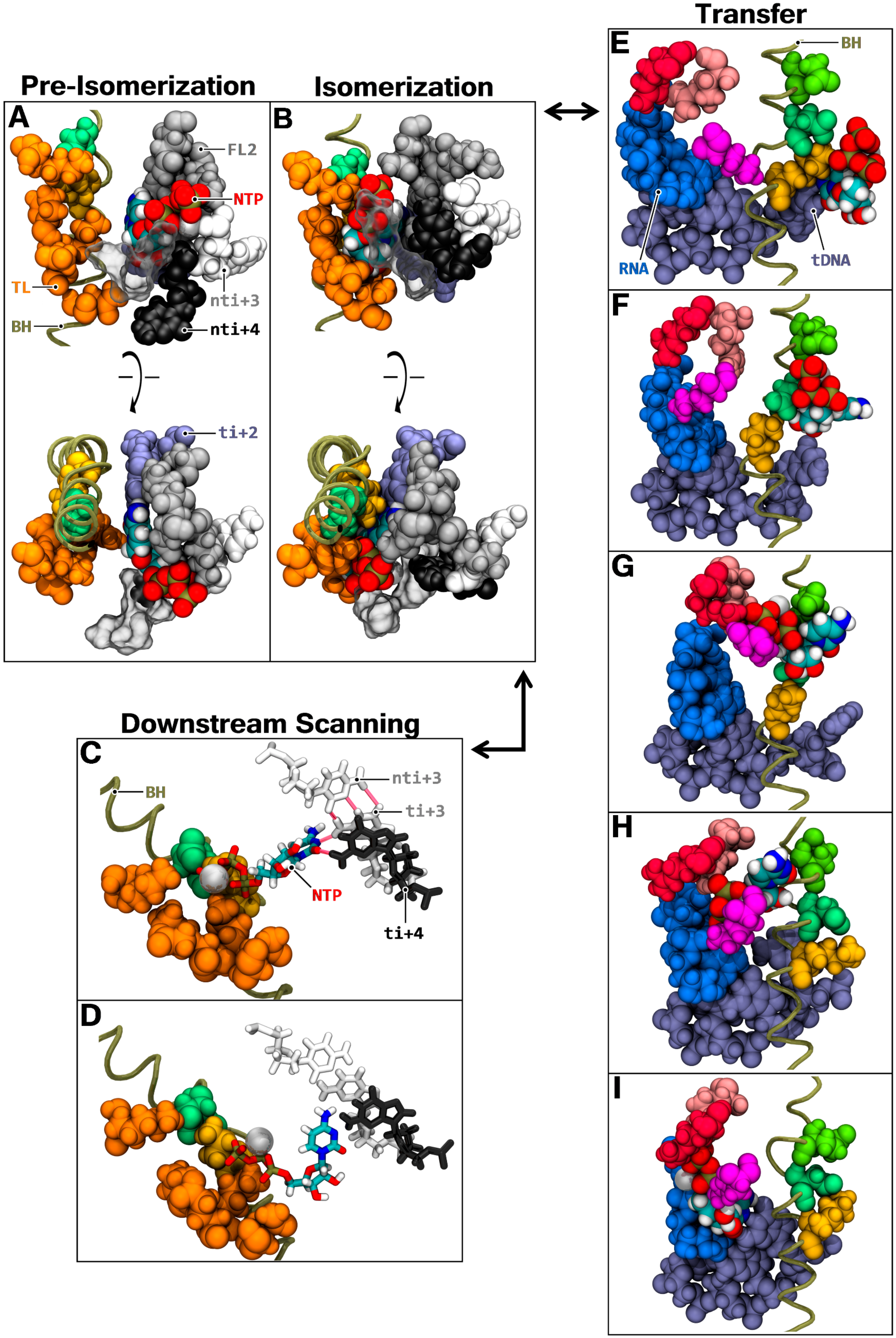 Biomolecules 10 01289 g007 Biomolecules 10 01289 g007
