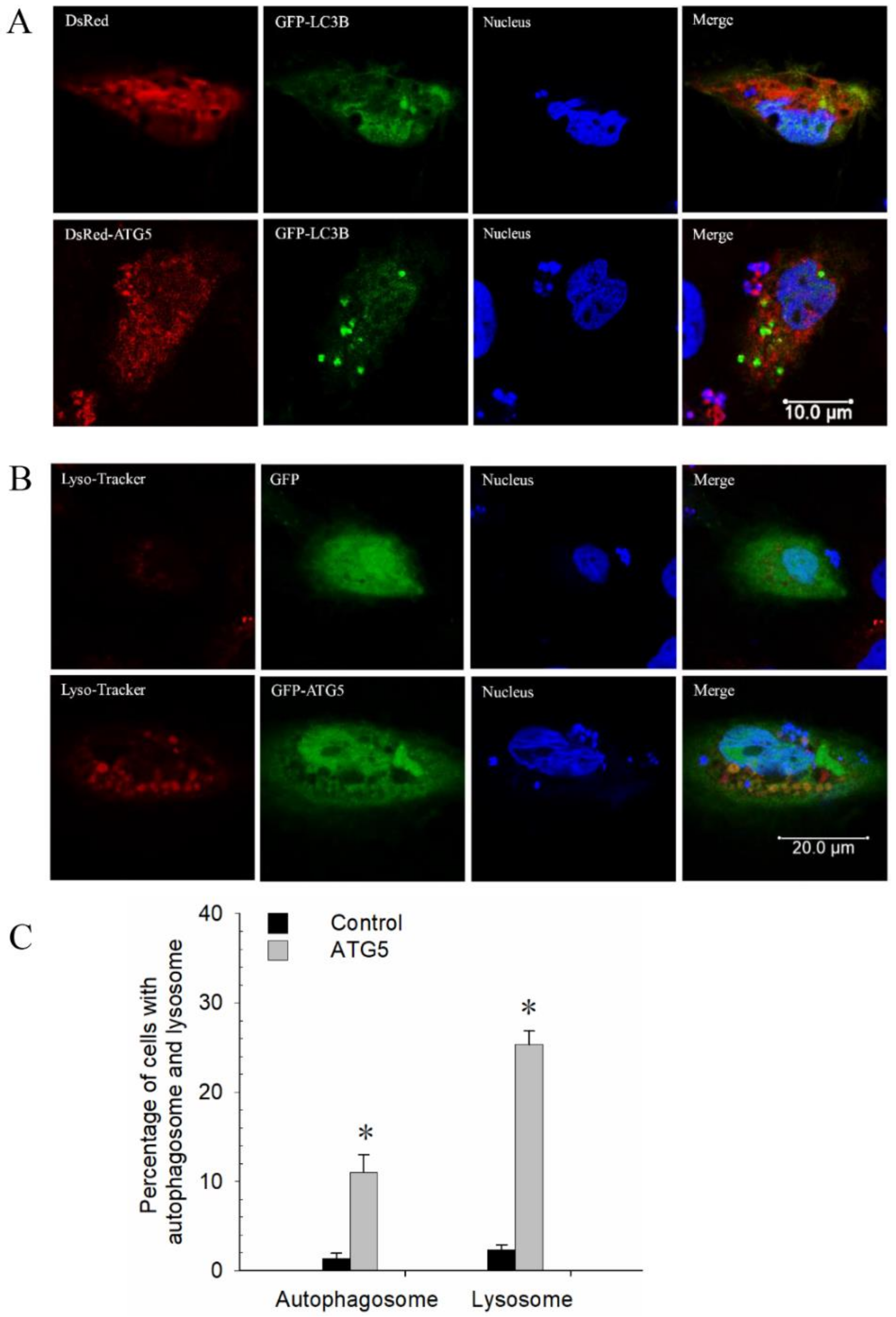 Biomolecules 10 01296 g005 Biomolecules 10 01296 g005