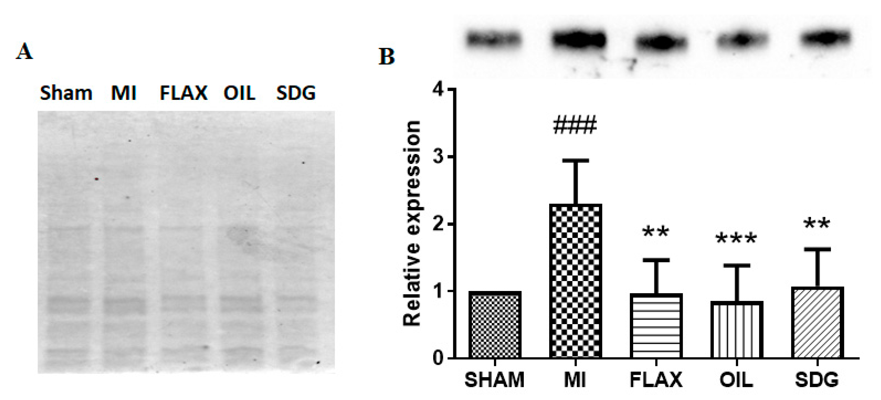 Biomolecules 10 01297 g002 Biomolecules 10 01297 g002