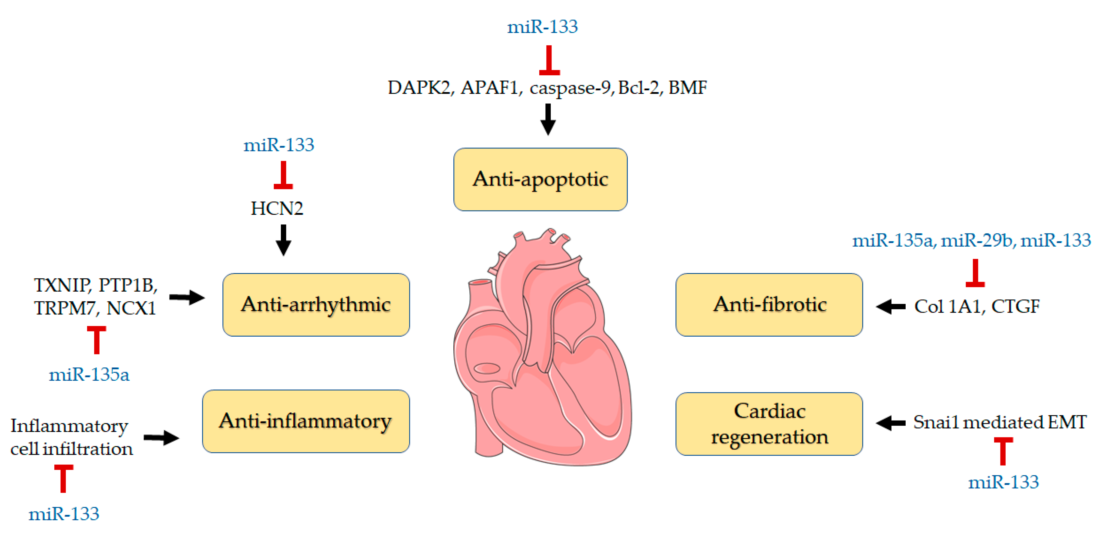 Biomolecules 10 01297 g006 Biomolecules 10 01297 g006