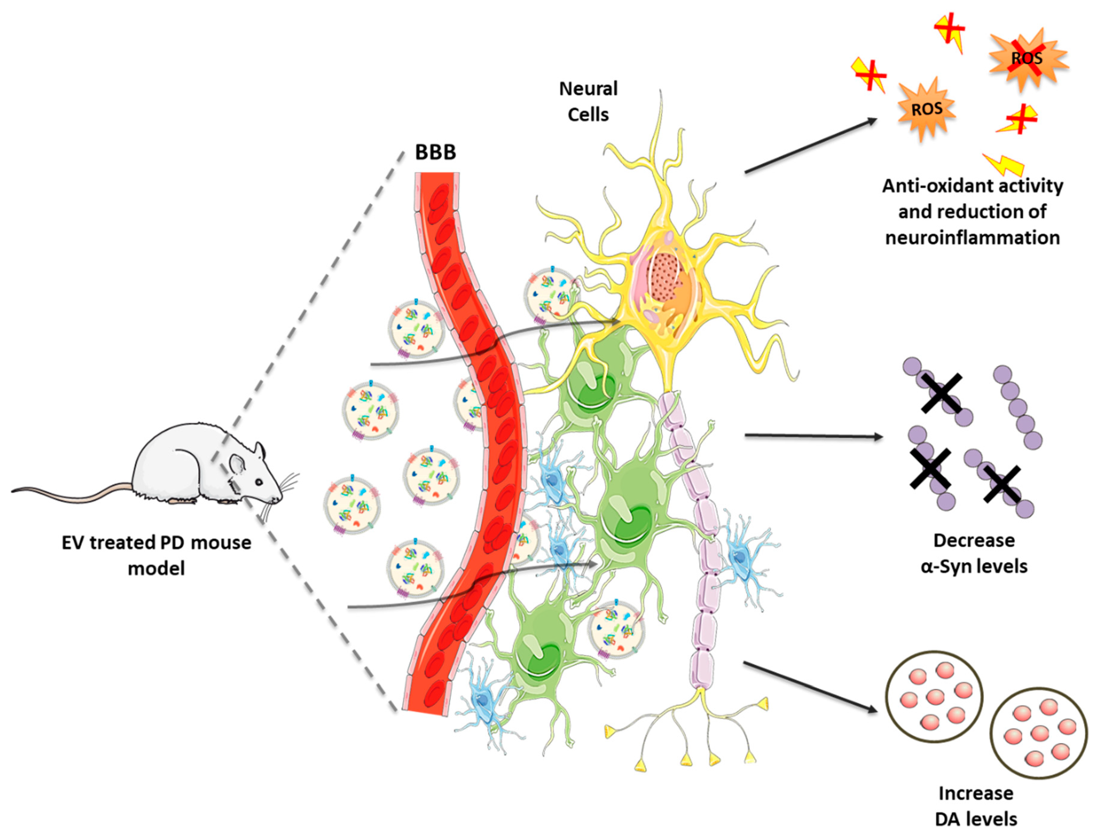 Biomolecules 10 01327 g003