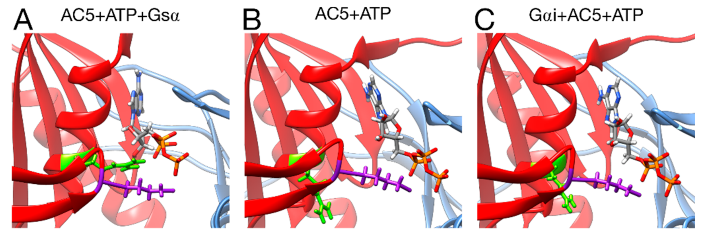 Biomolecules 10 01330 g008