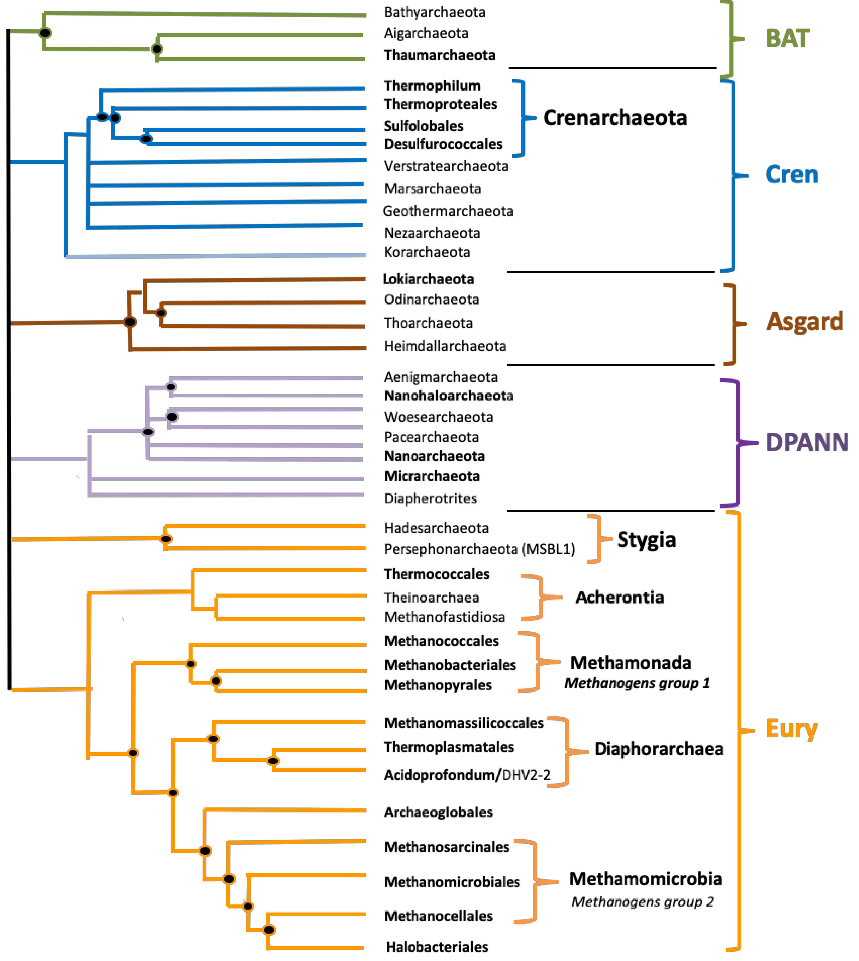 Biomolecules 10 01349 g001