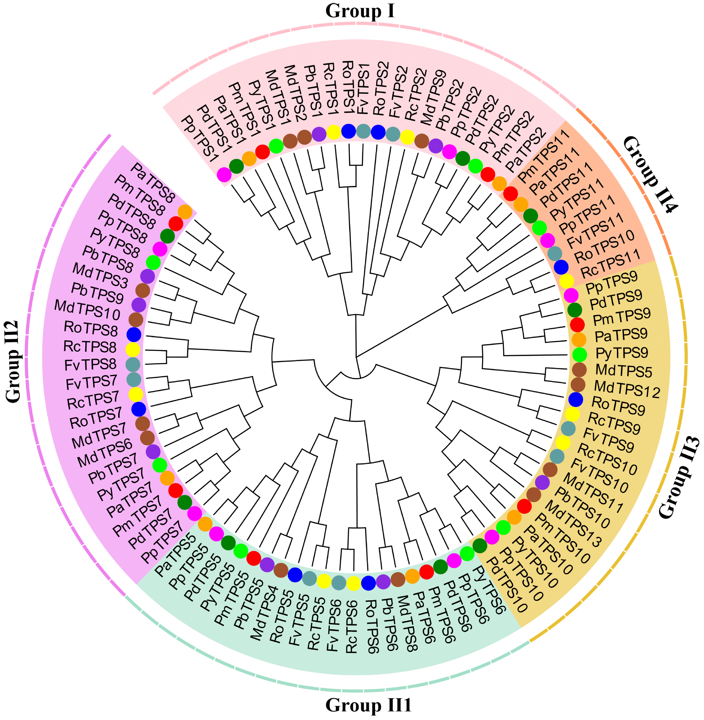 Biomolecules 10 01358 g007
