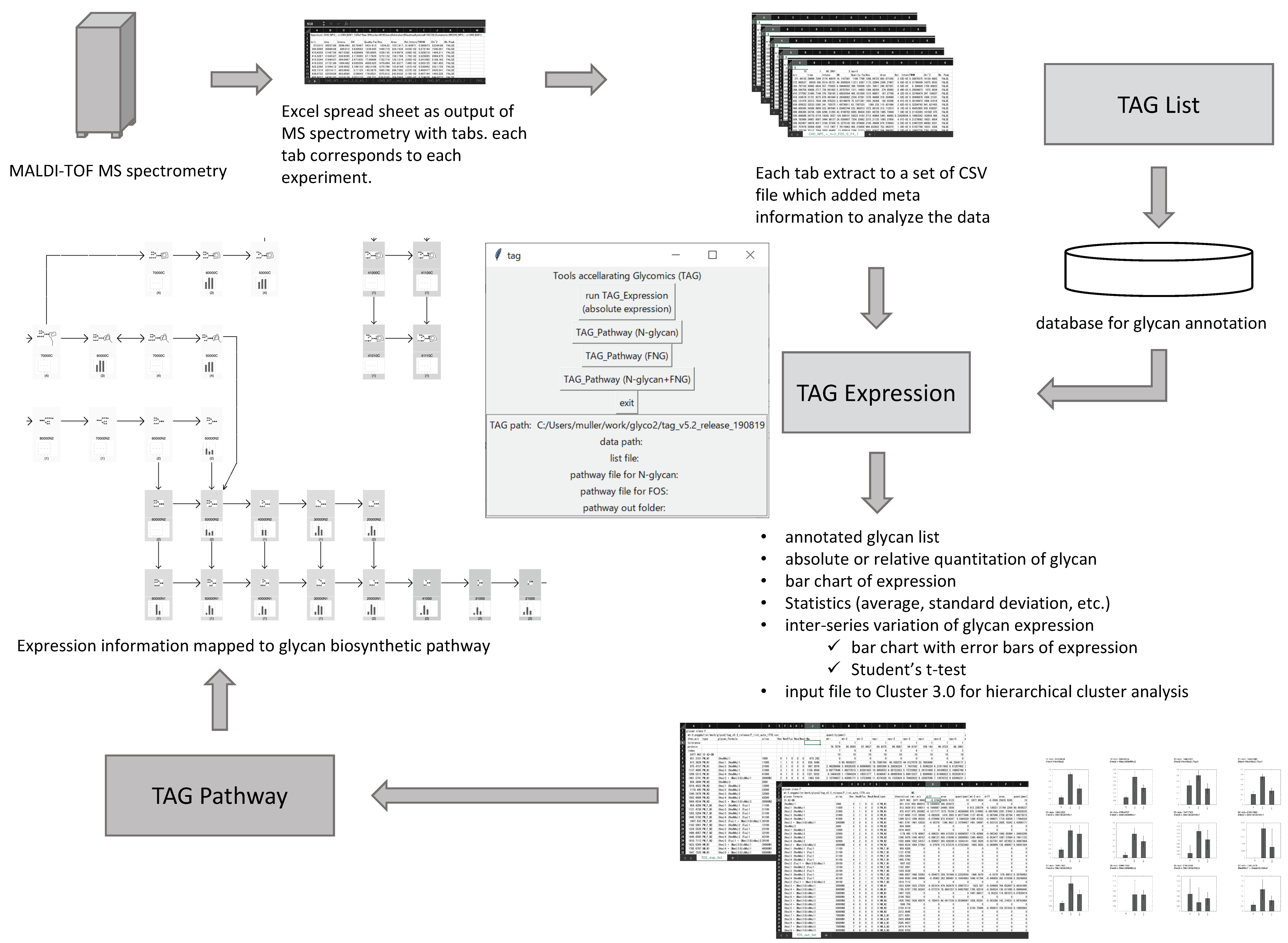Biomolecules 10 01383 g001 Biomolecules 10 01383 g001