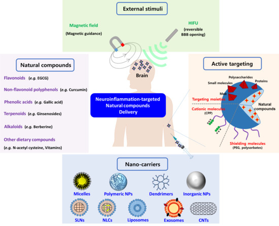Biomolecules | Free Full-Text | The Role of Natural Compounds and their  Nanocarriers in the Treatment of CNS Inflammation | HTML