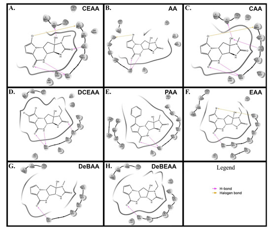 Biomolecules Free Full Text A Virtual Screening Platform Identifies Chloroethylagelastatin A As A Potential Ribosomal Inhibitor Html