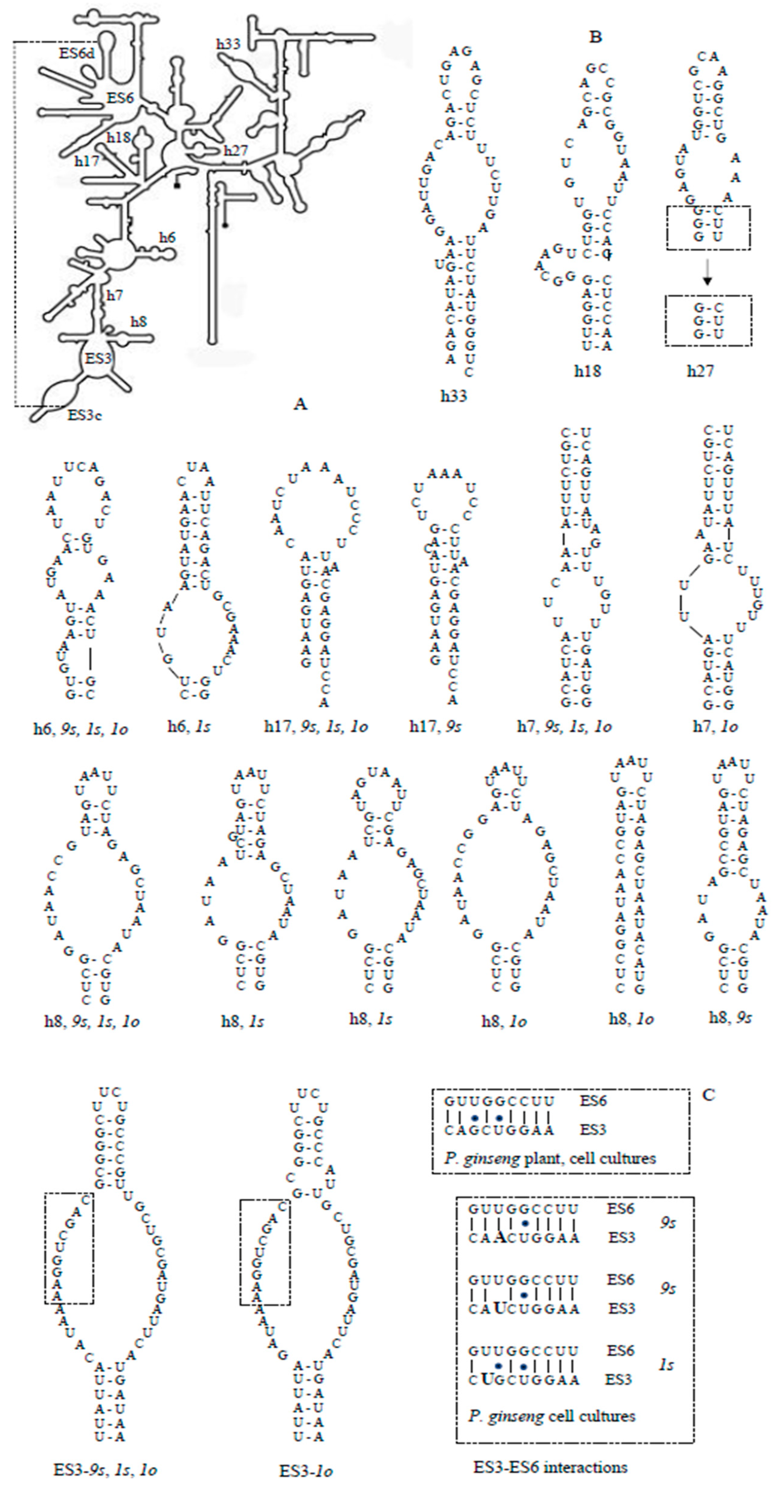 Biomolecules 10 01410 g004