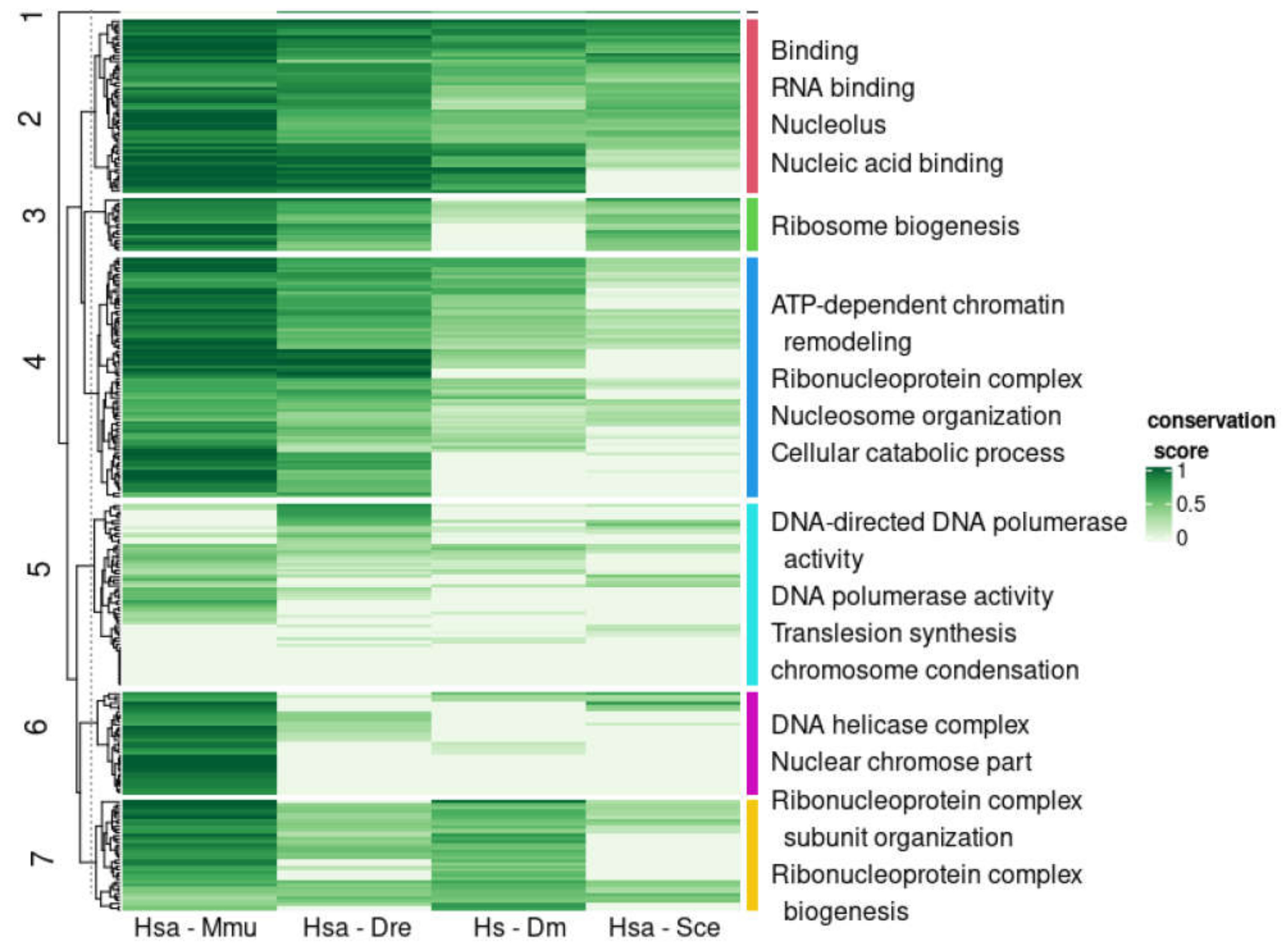 Biomolecules 10 01413 g004