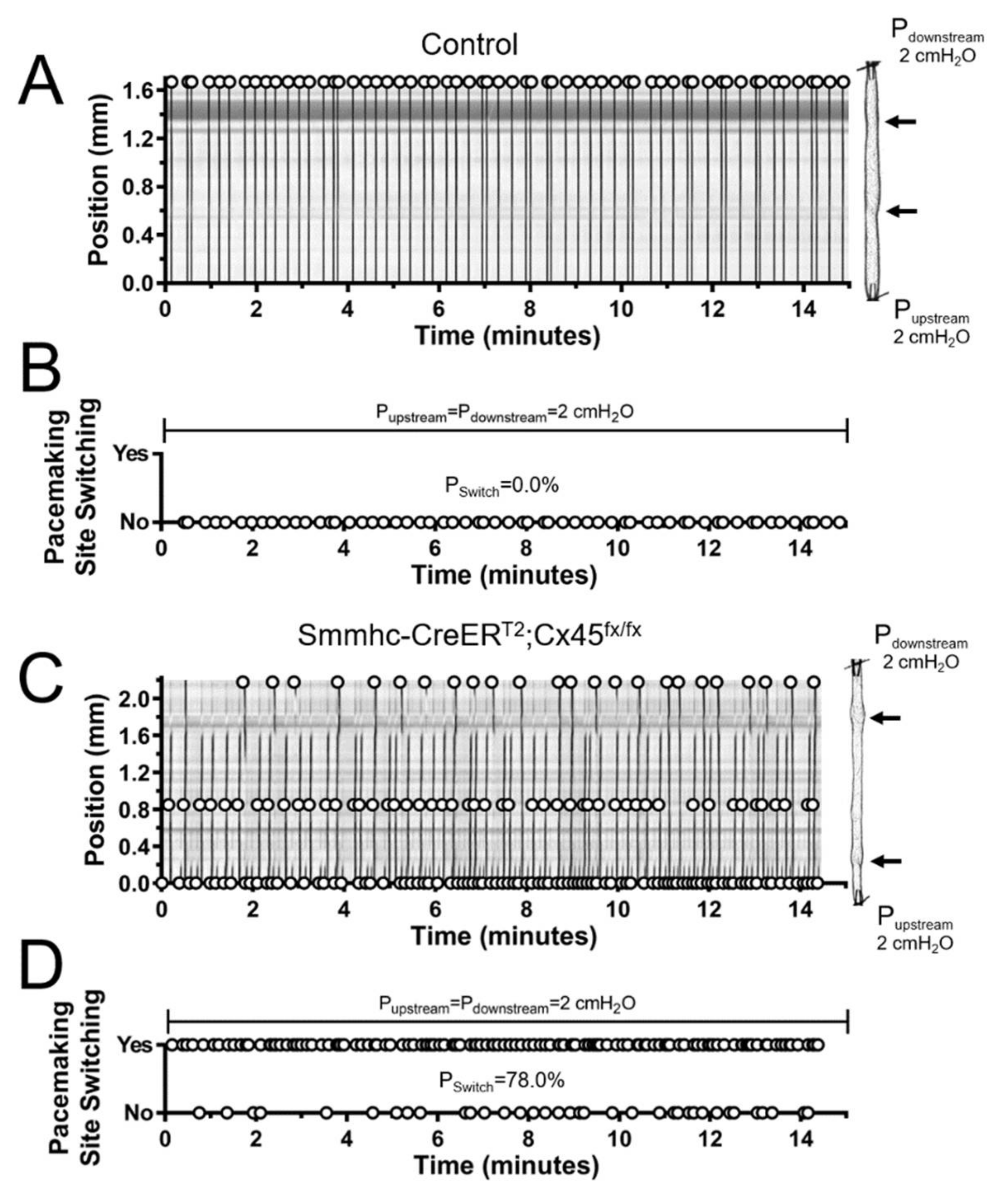 Biomolecules 10 01424 g004