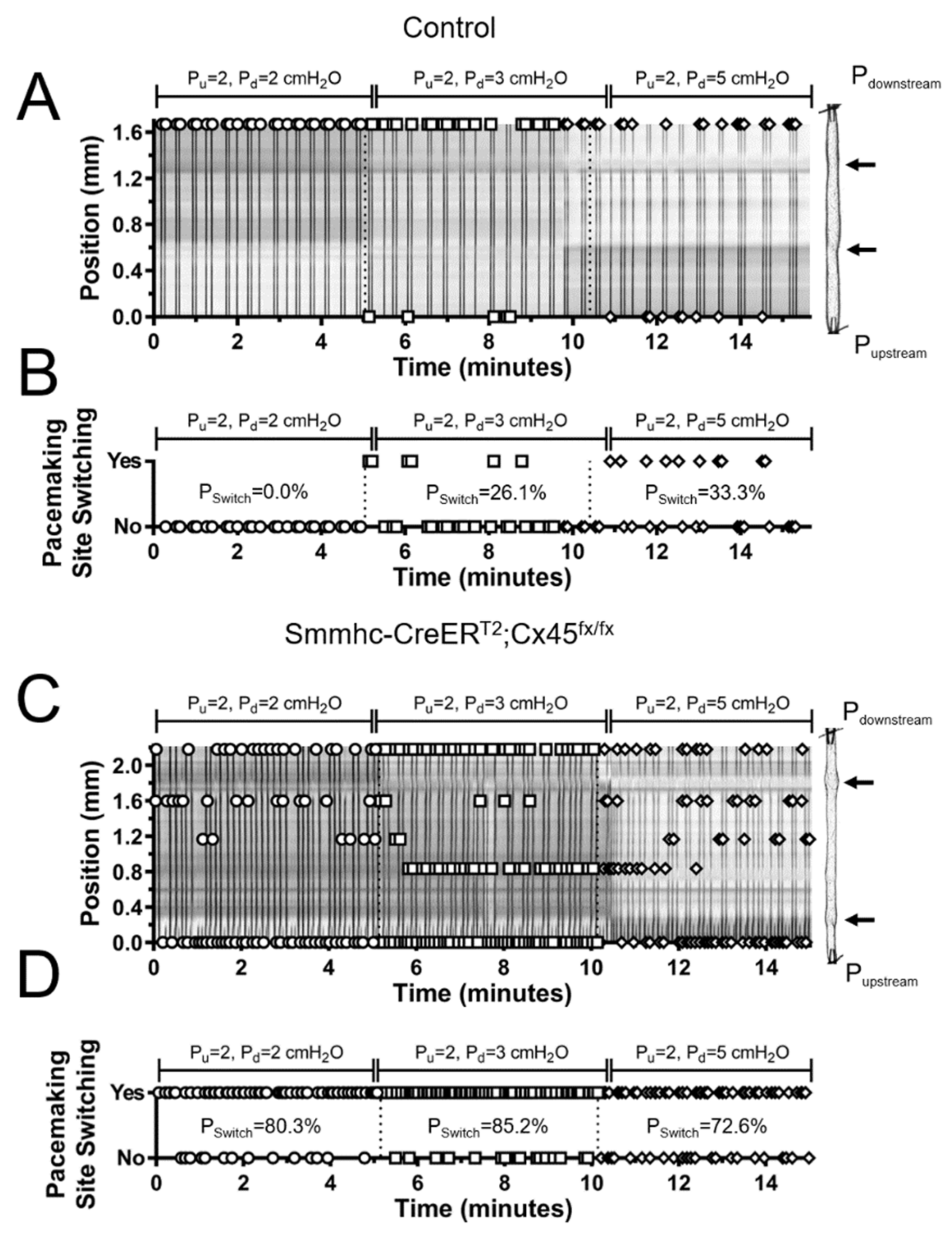 Biomolecules 10 01424 g007