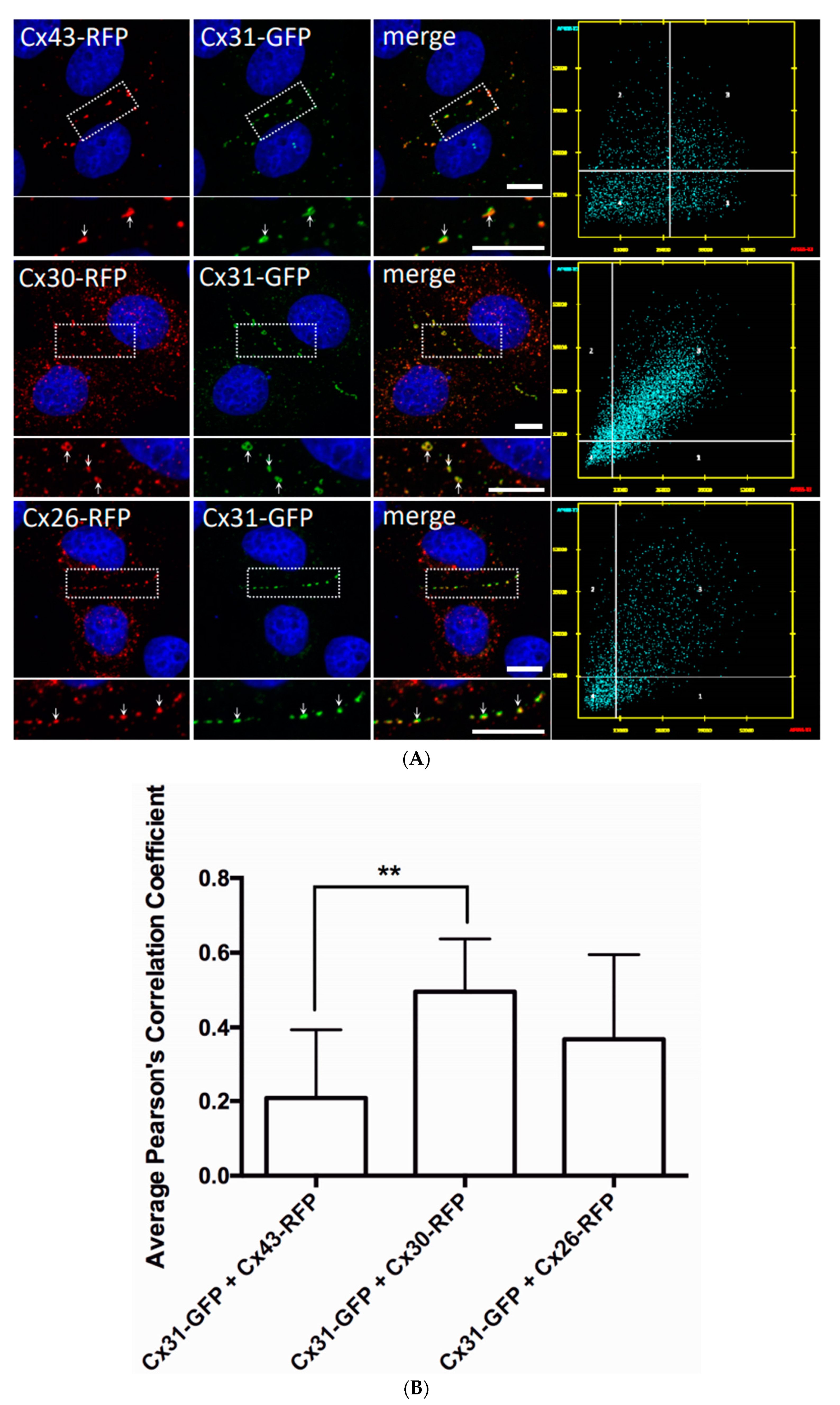Biomolecules 10 01443 g007 Biomolecules 10 01443 g007