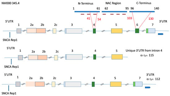 Biomolecules, Free Full-Text