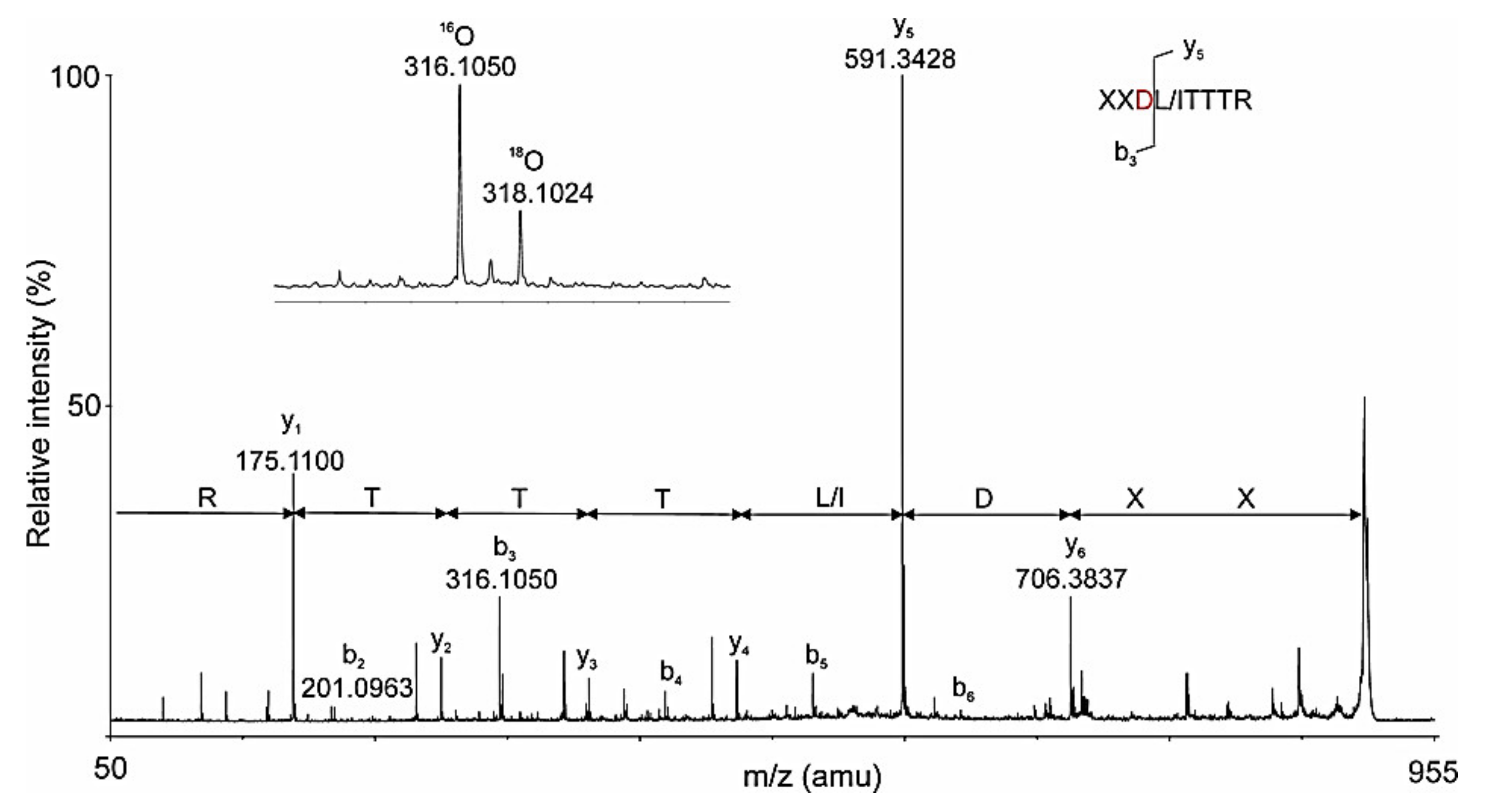 Biomolecules 10 01470 g016 Biomolecules 10 01470 g016