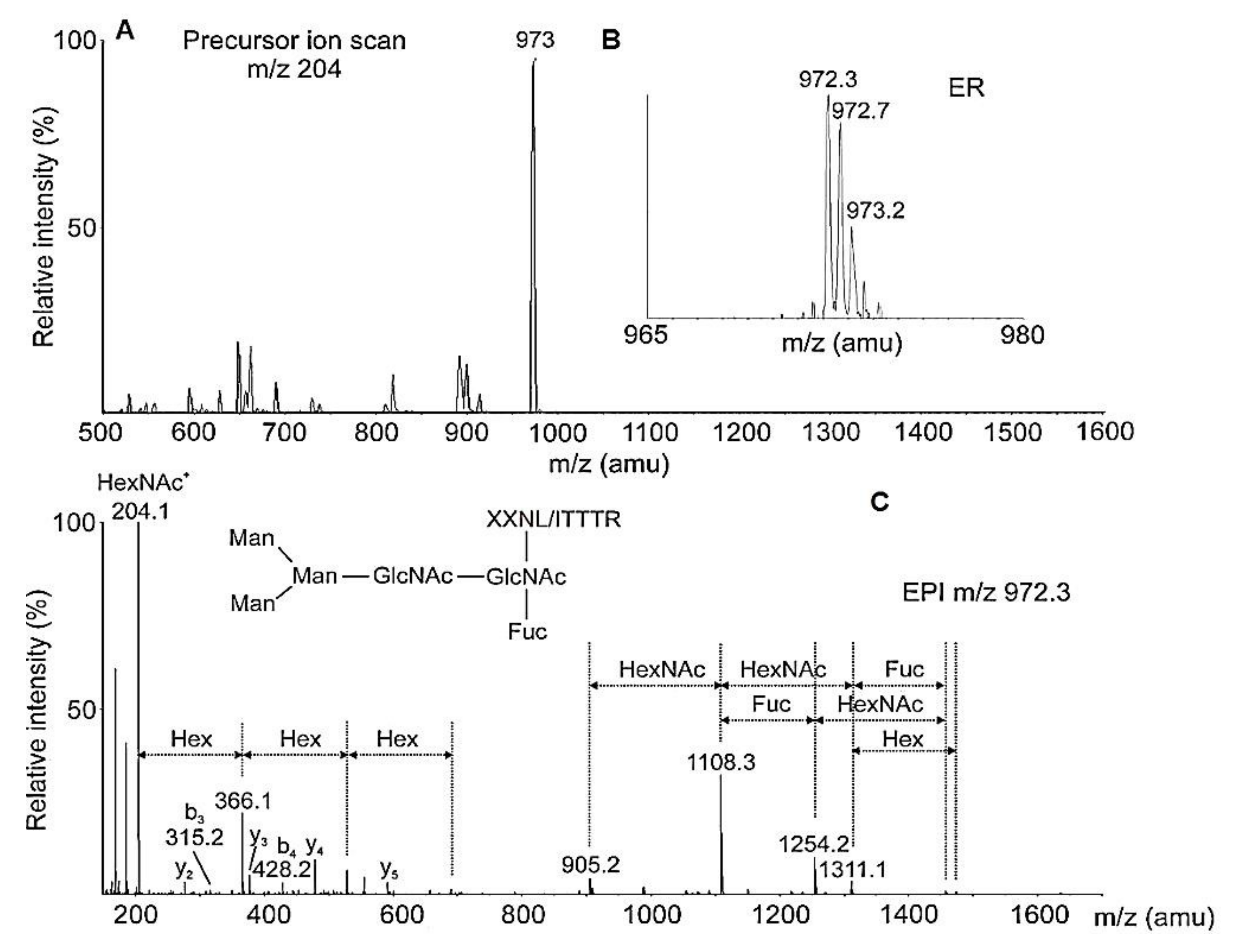 Biomolecules 10 01470 g017 Biomolecules 10 01470 g017