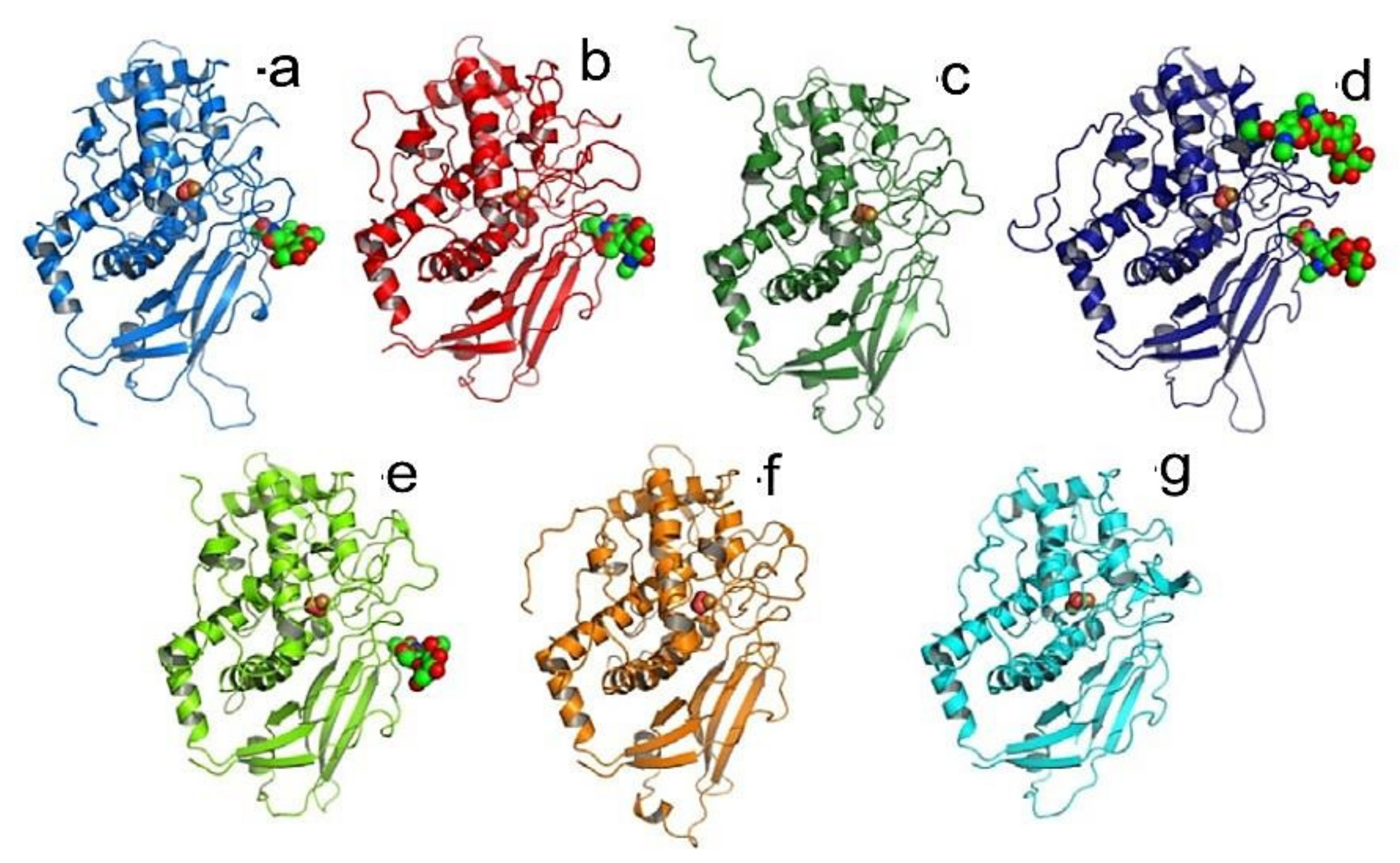 Biomolecules 10 01470 g020 Biomolecules 10 01470 g020