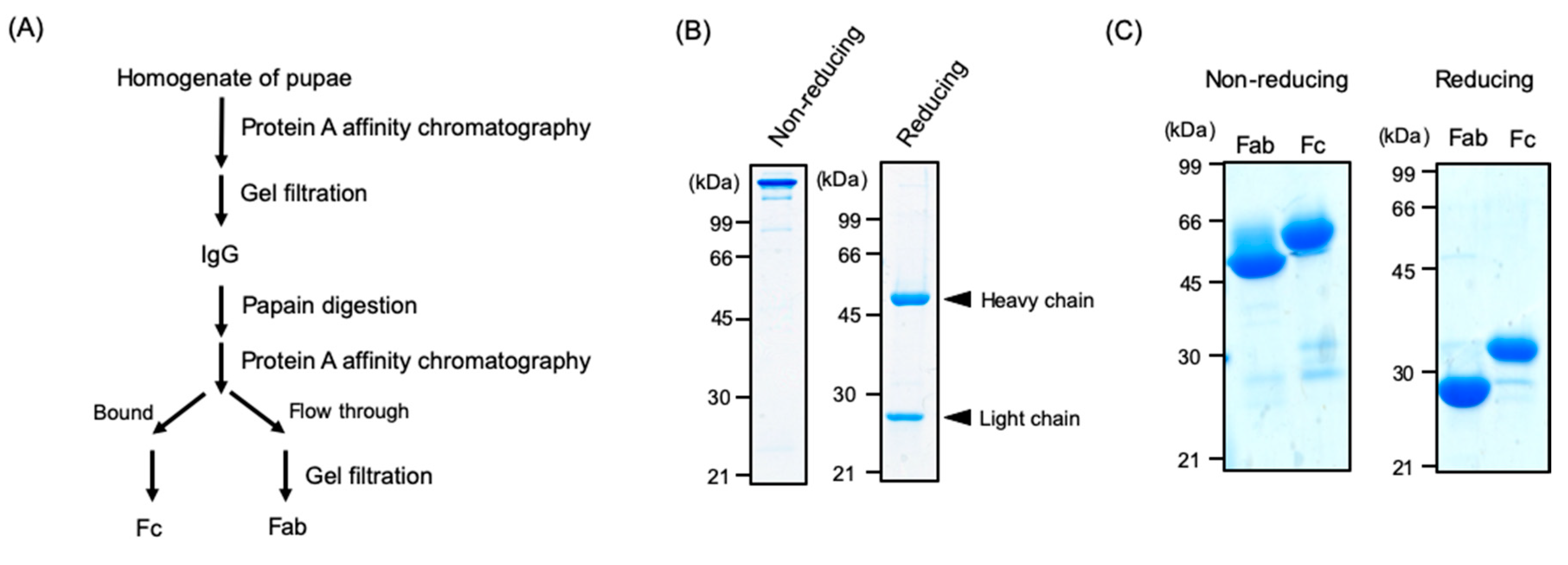 Biomolecules 10 01482 g003 Biomolecules 10 01482 g003