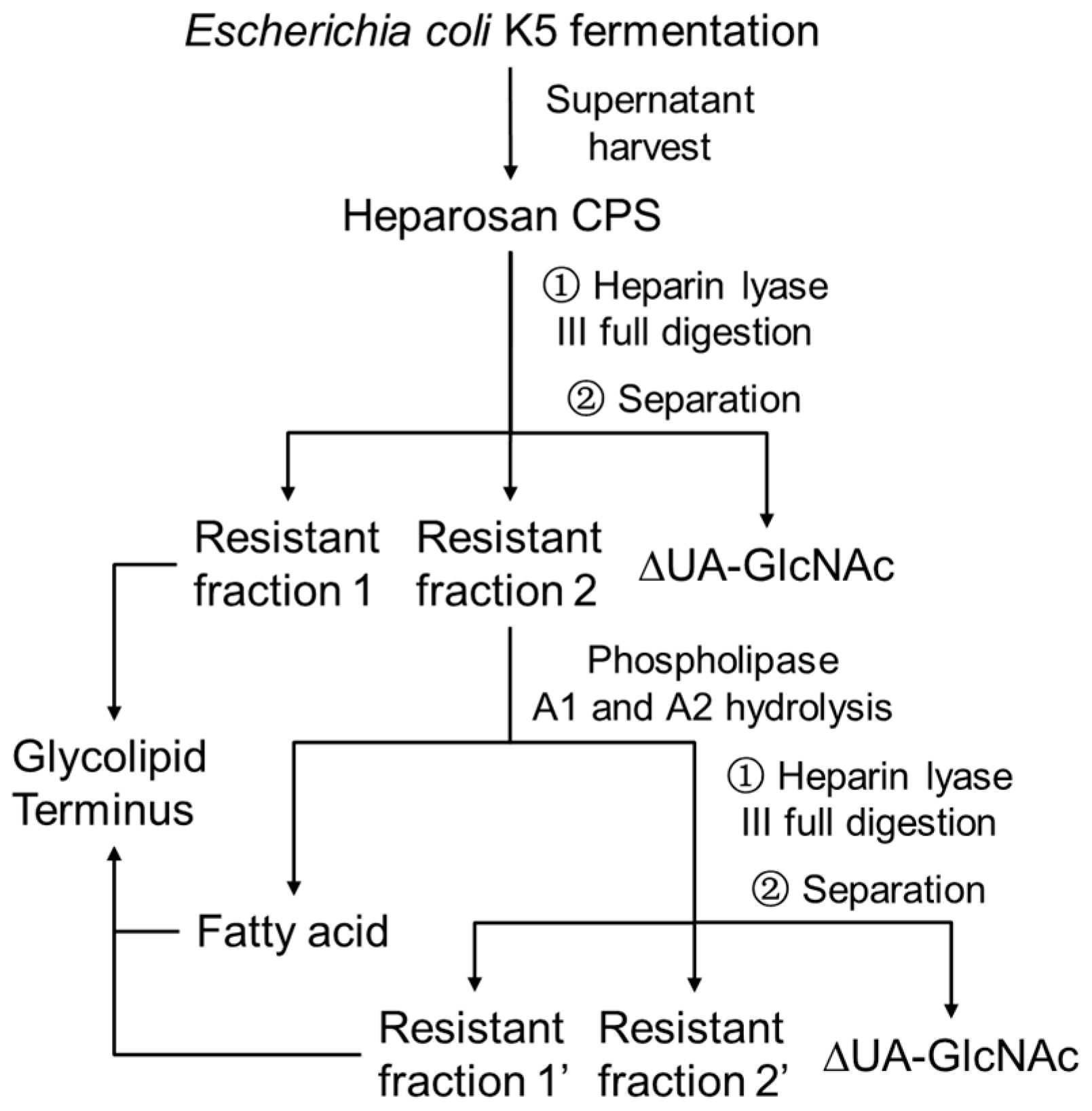 Biomolecules 10 01516 sch001 Biomolecules 10 01516 sch001