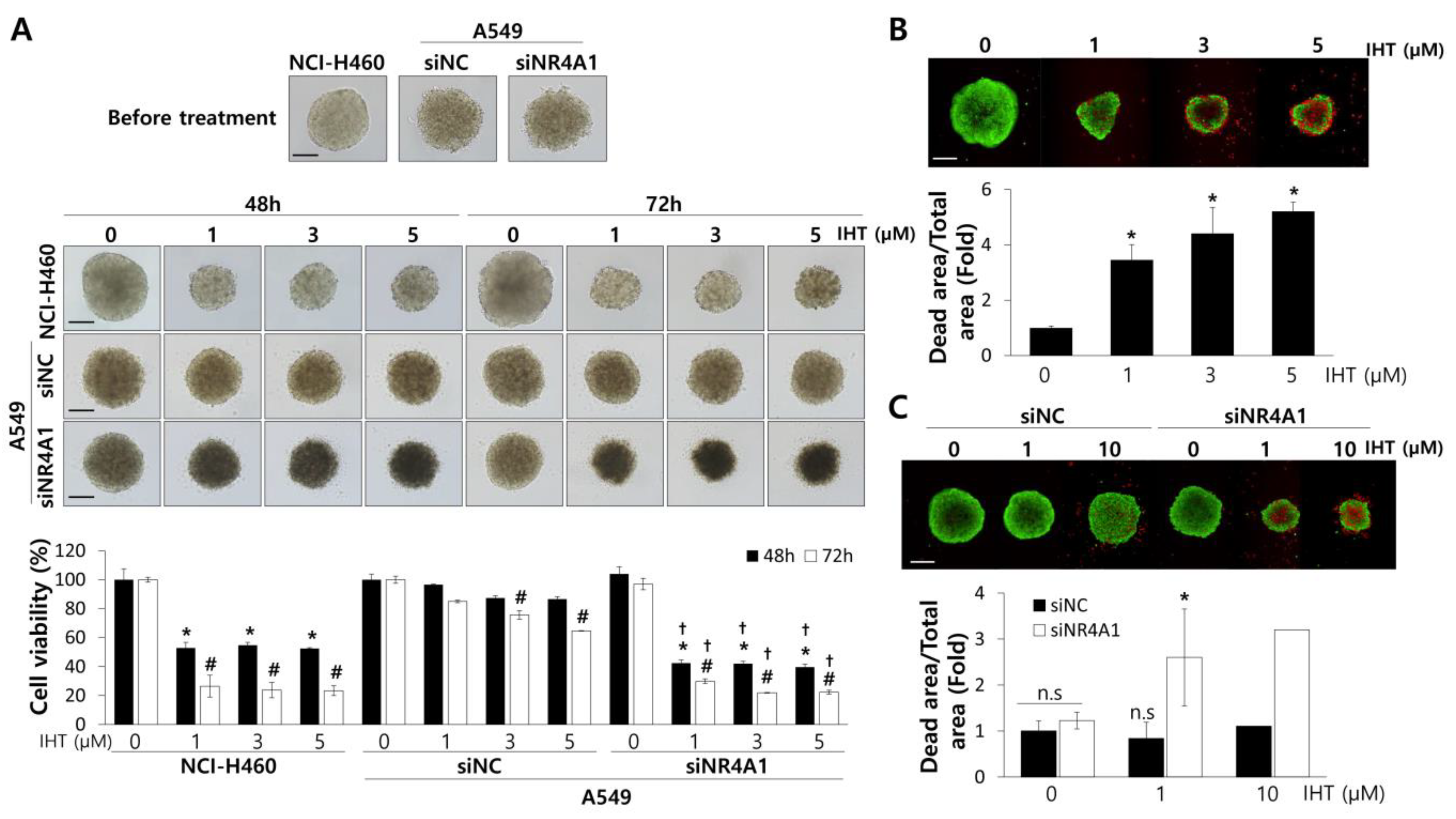 Biomolecules 10 01521 g003