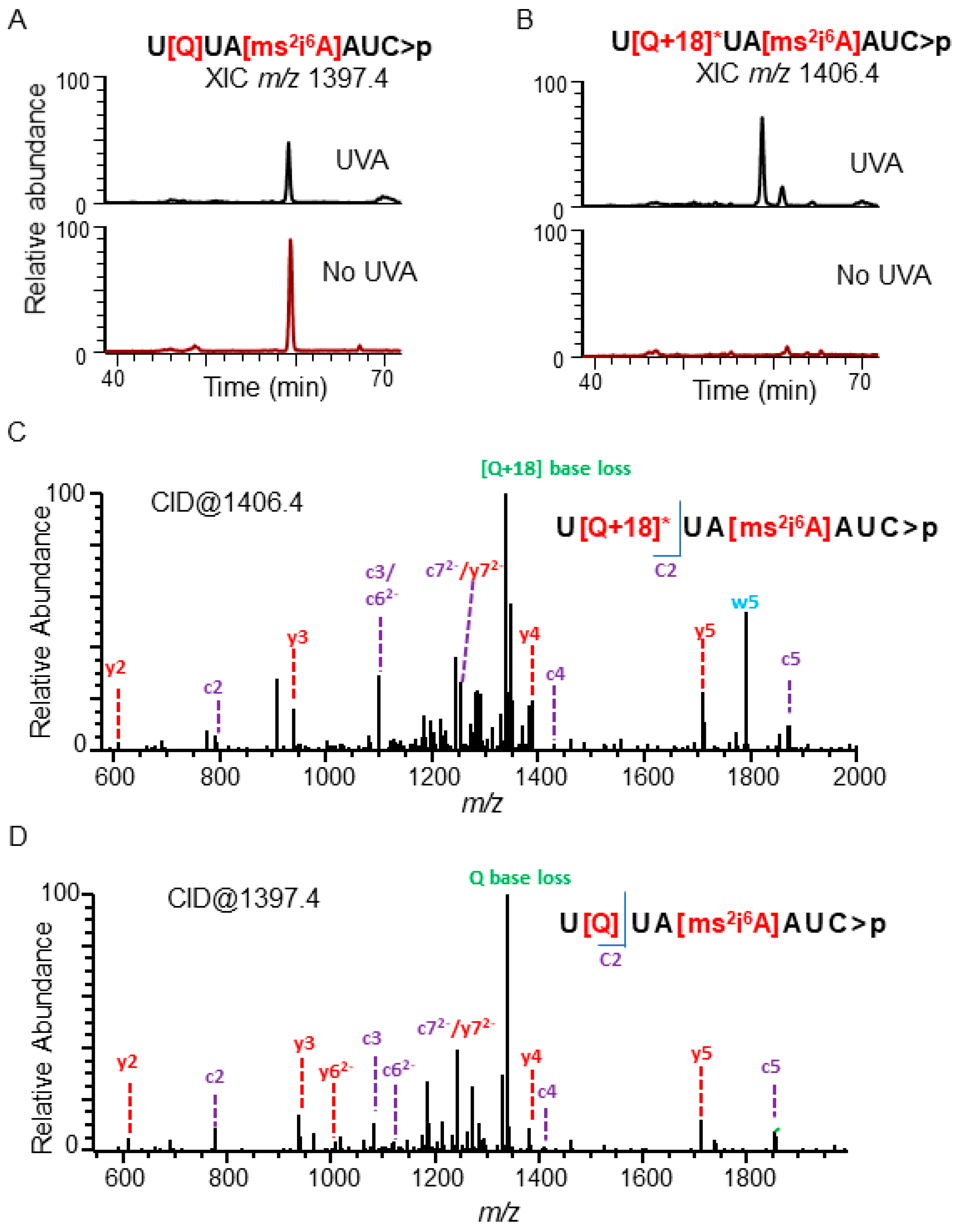 Biomolecules Free Full Text Characterization Of Uva Induced Alterations To Transfer Rna Sequences Html